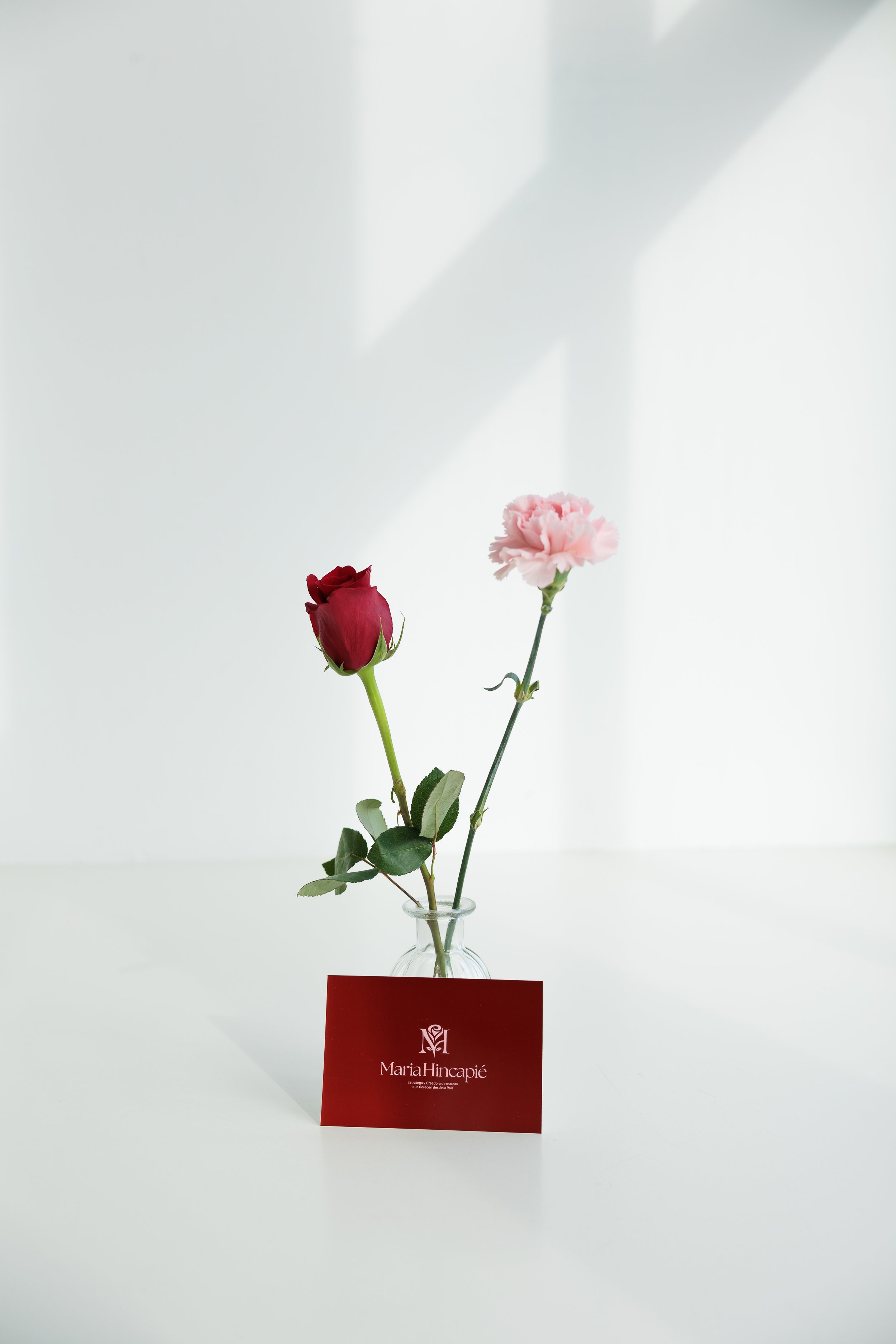 fotografía marca personal emprendedora