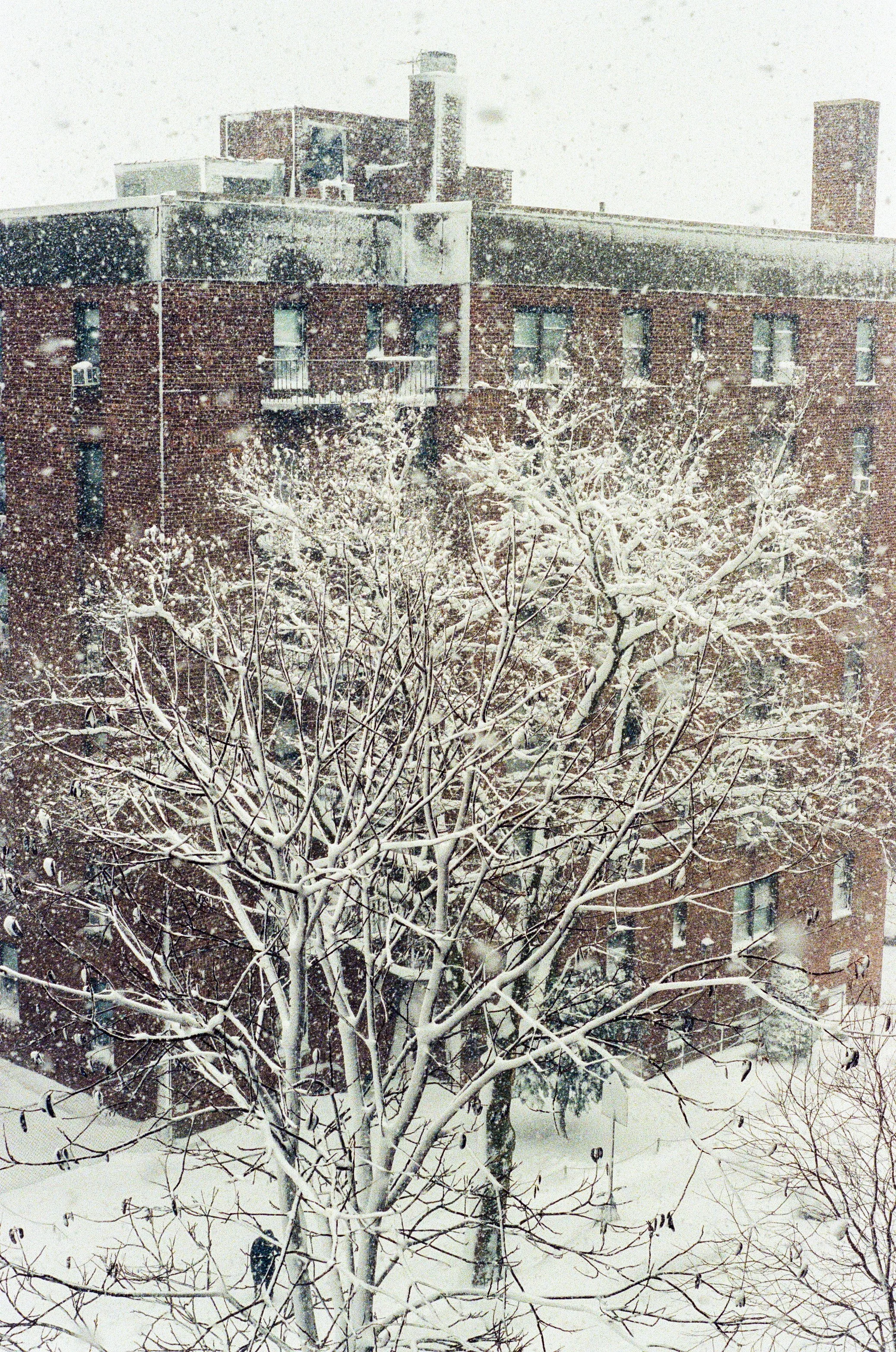 000223880026.jpg