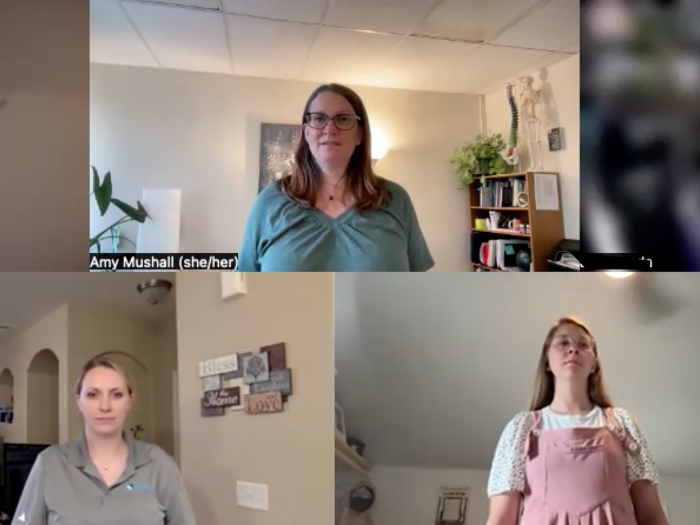 Online Reset and Integration Lab -somatic healing for chronic pain