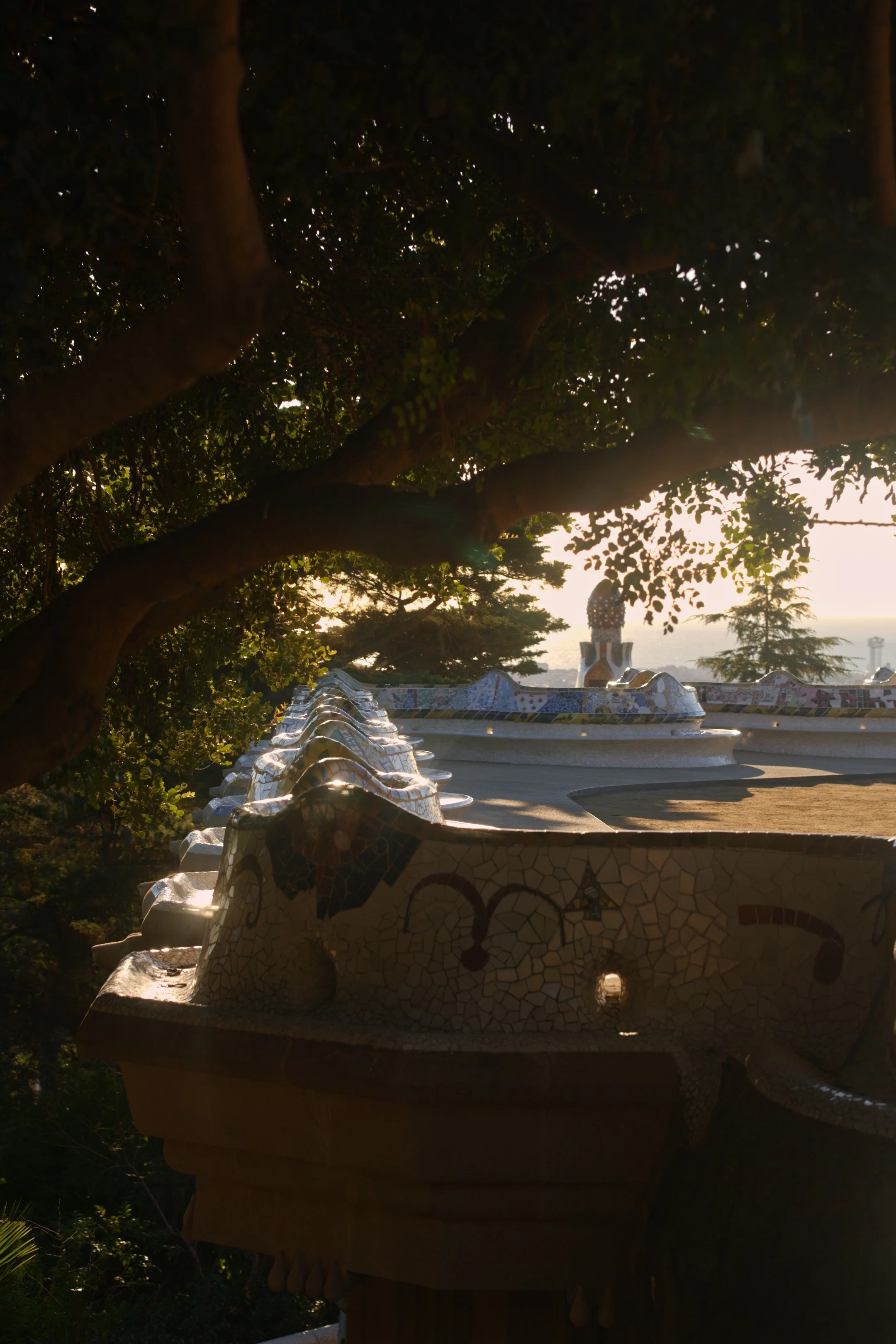 Untitled_1.29.1.jpg