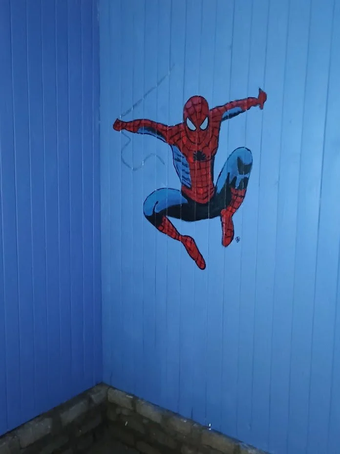 spidey for jismeel.jpg
