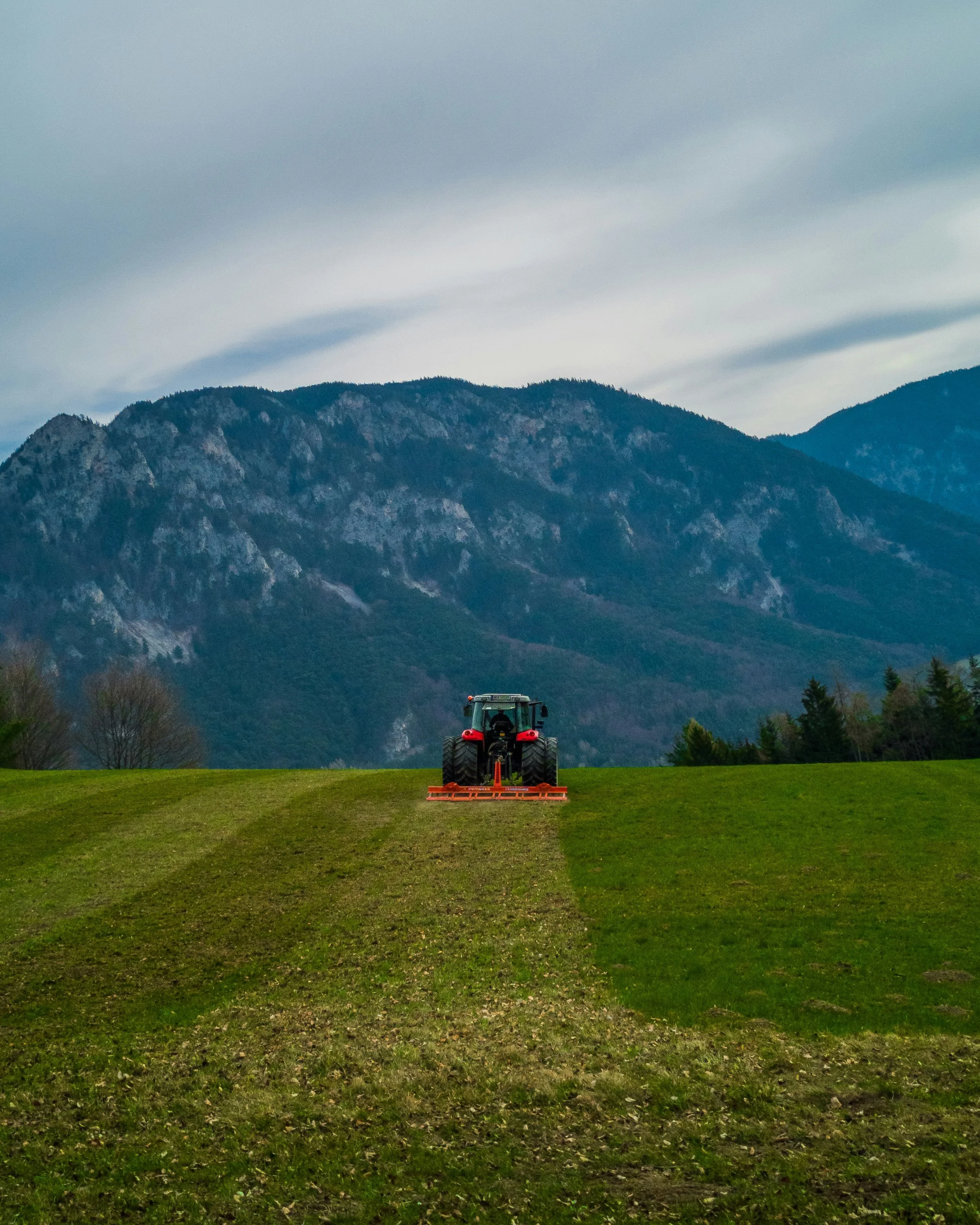 The Financial Advice Landscape: Cut Through the Noise
