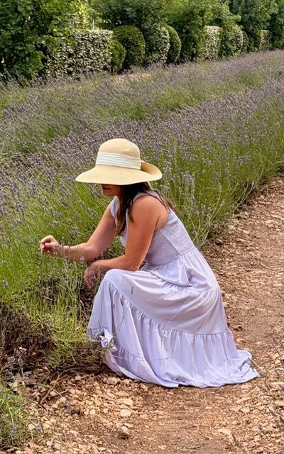Picking lavender in Provence.