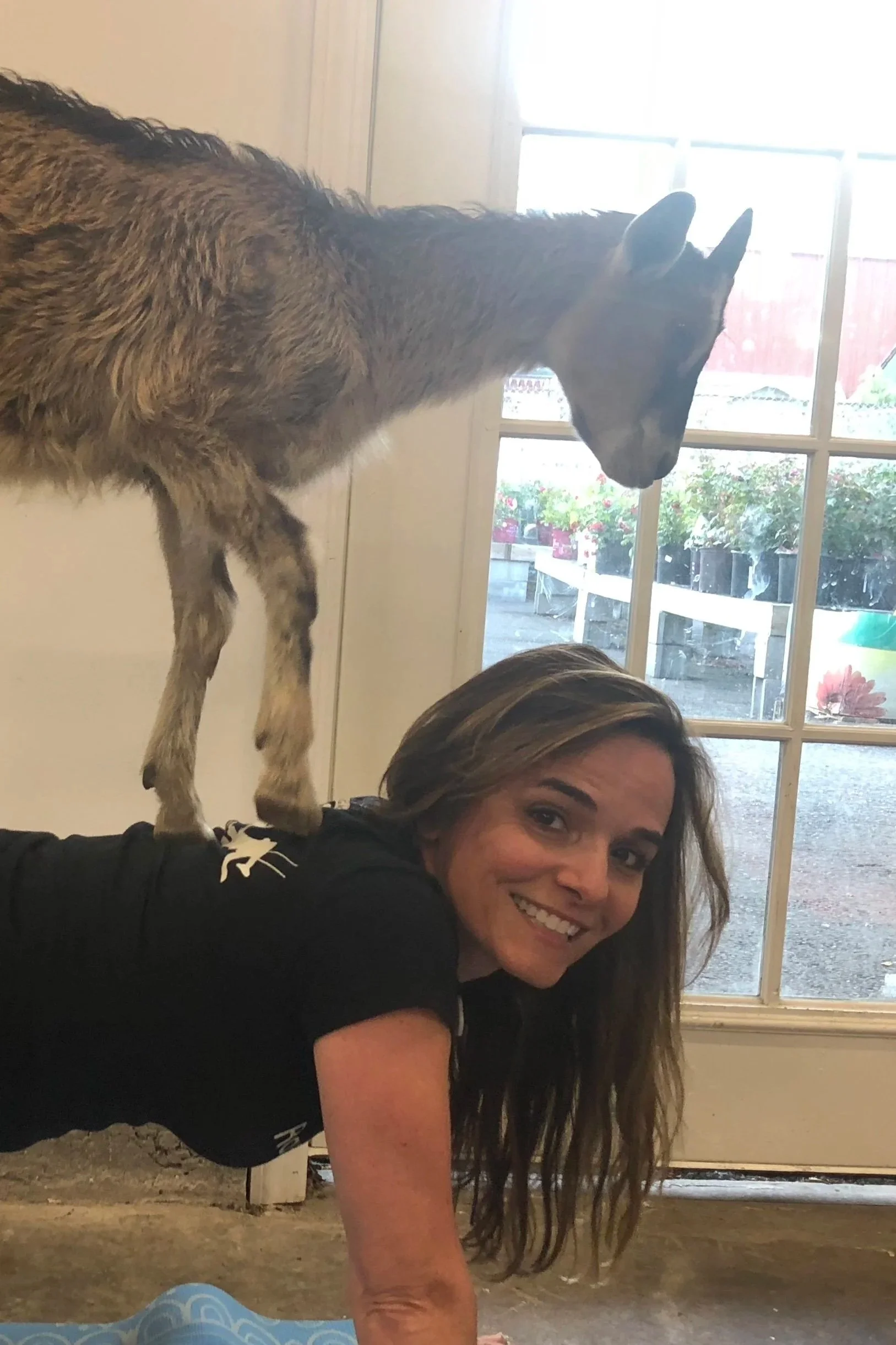 Goat yoga, anyone?