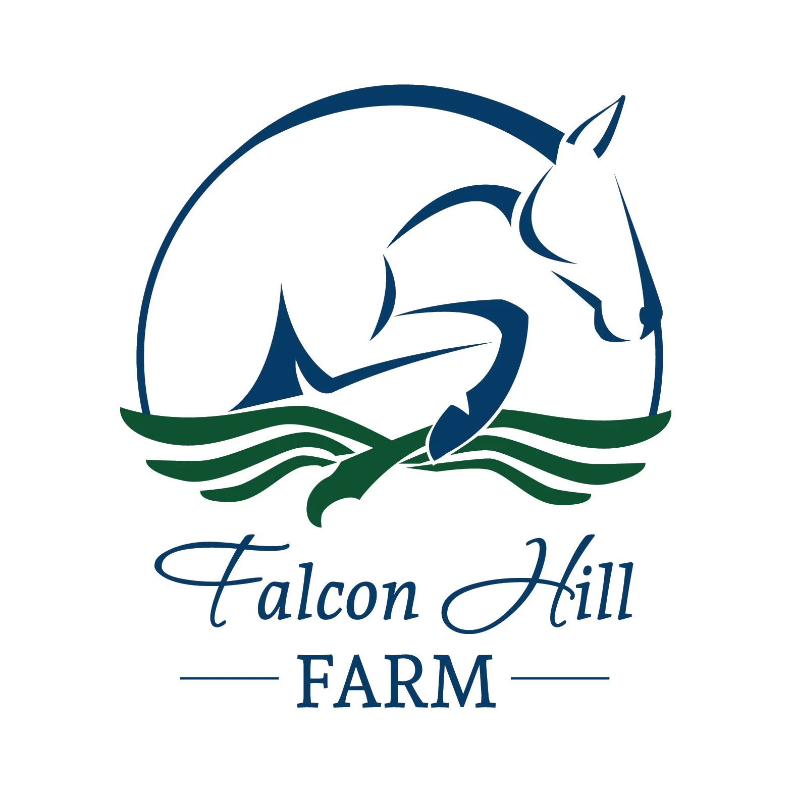 Falcon Hill Option #2 High Rez.jpg