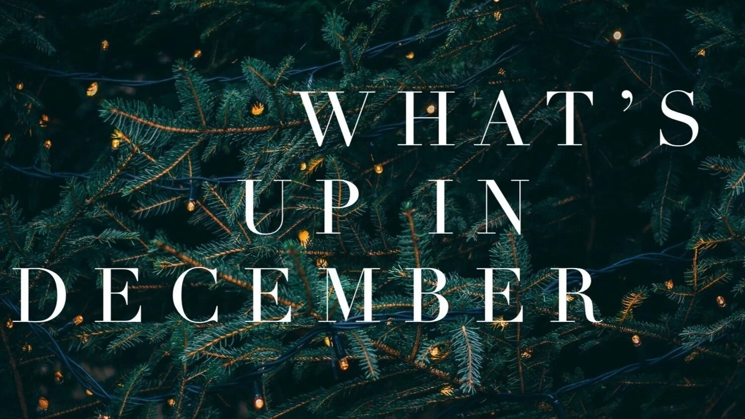 In December We Let the Schedule Lie Fallow