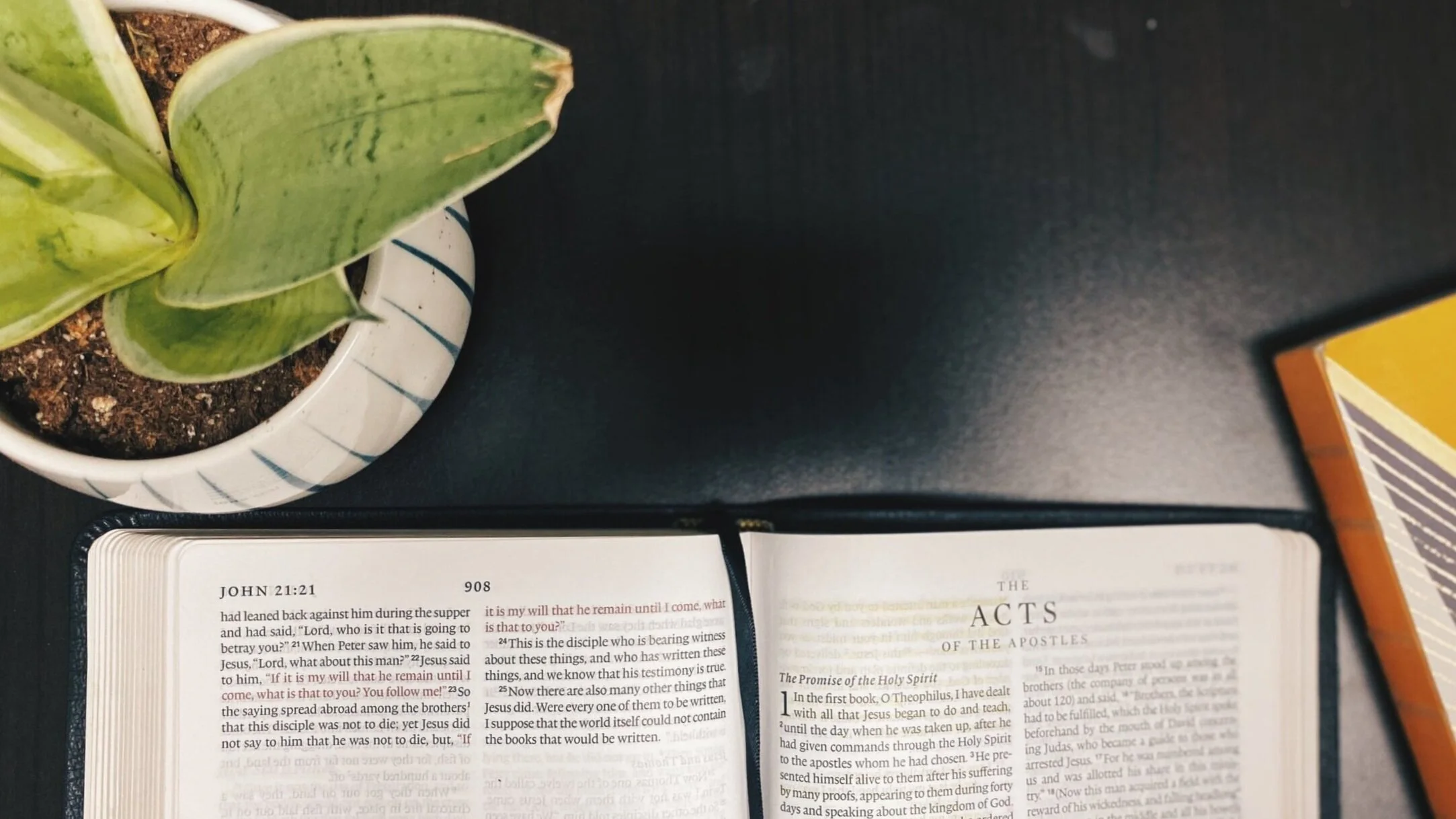 Sermon Series Review - The Timeless Traits of the Church