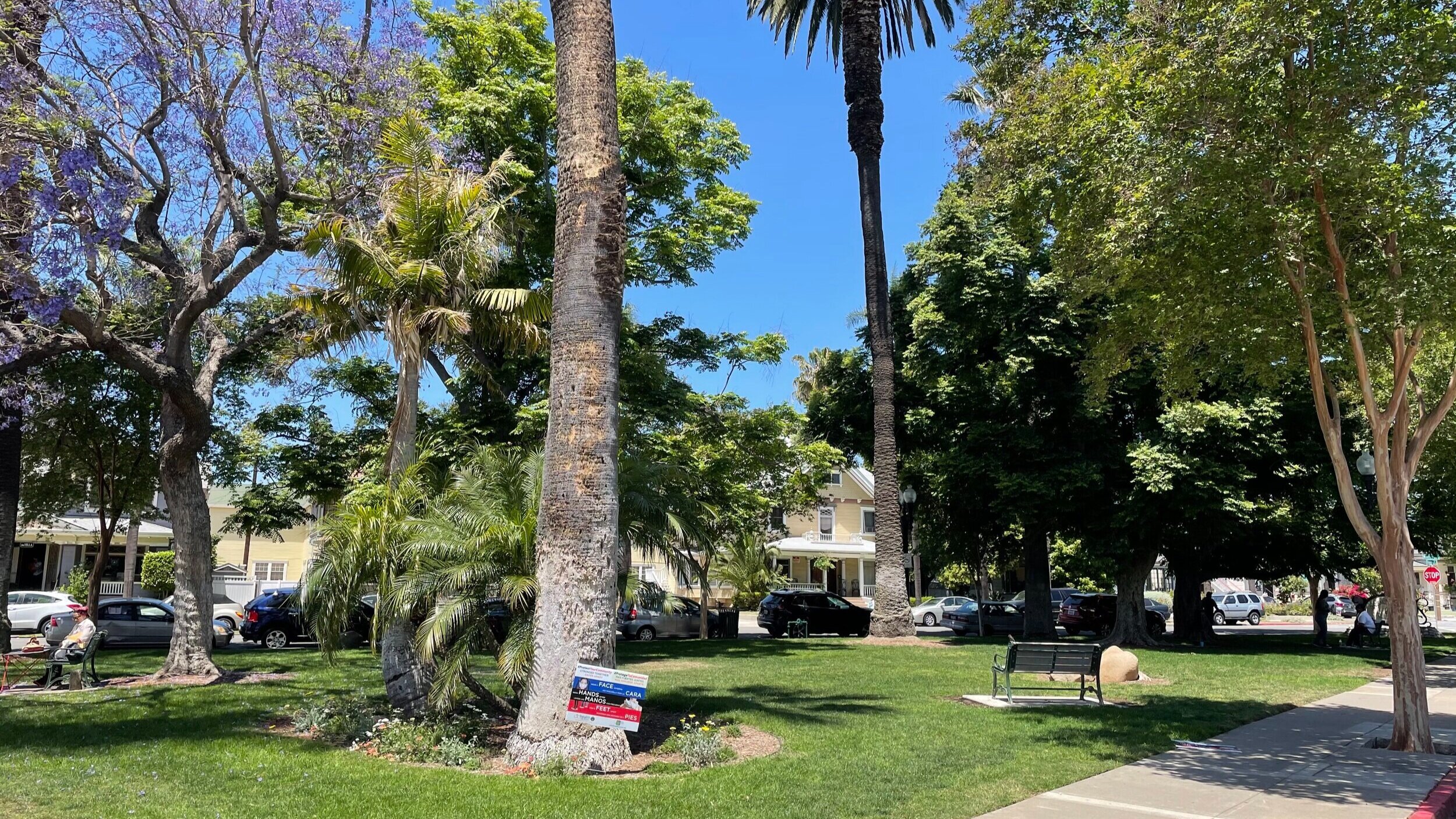 Picnic in the Park This Sunday