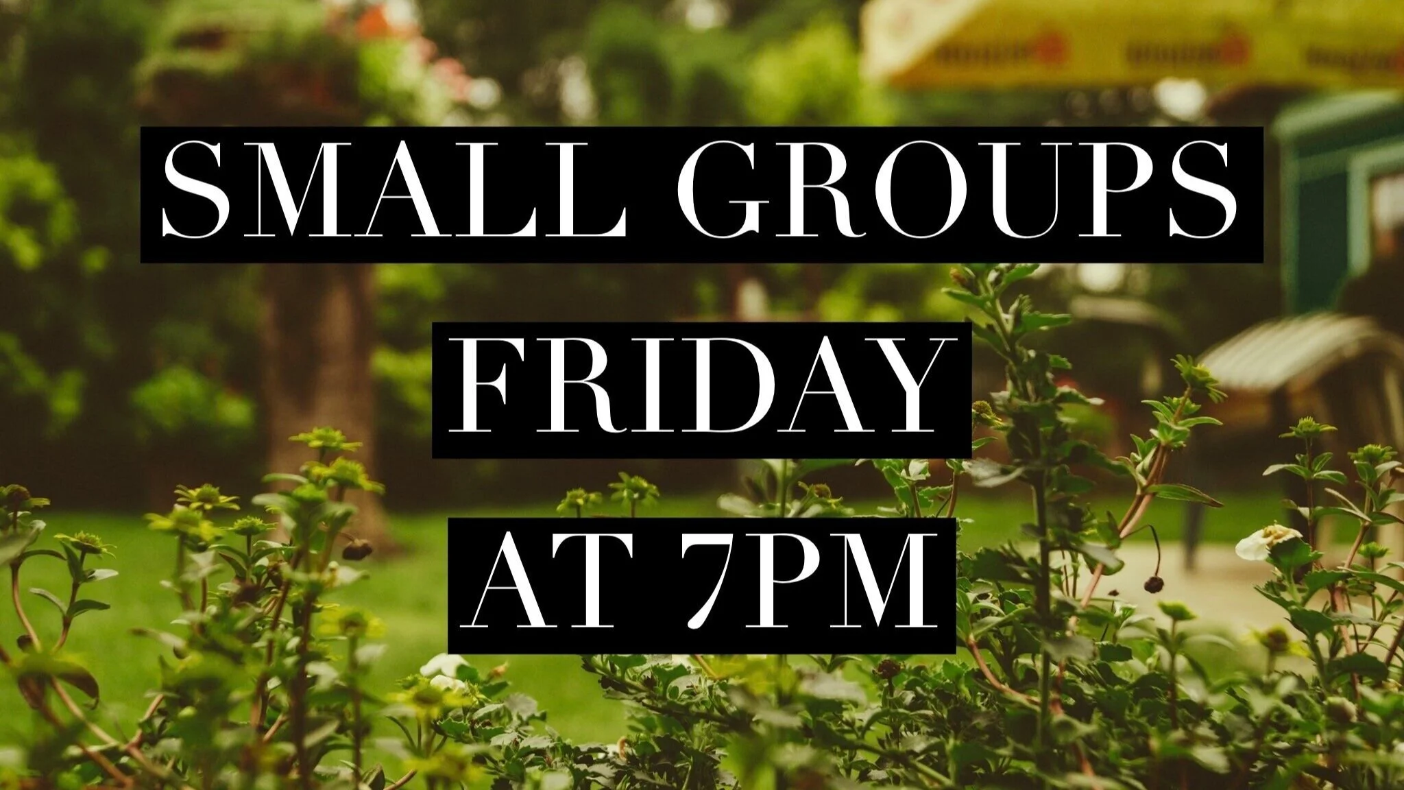 Small Groups Meet Tomorrow Night 