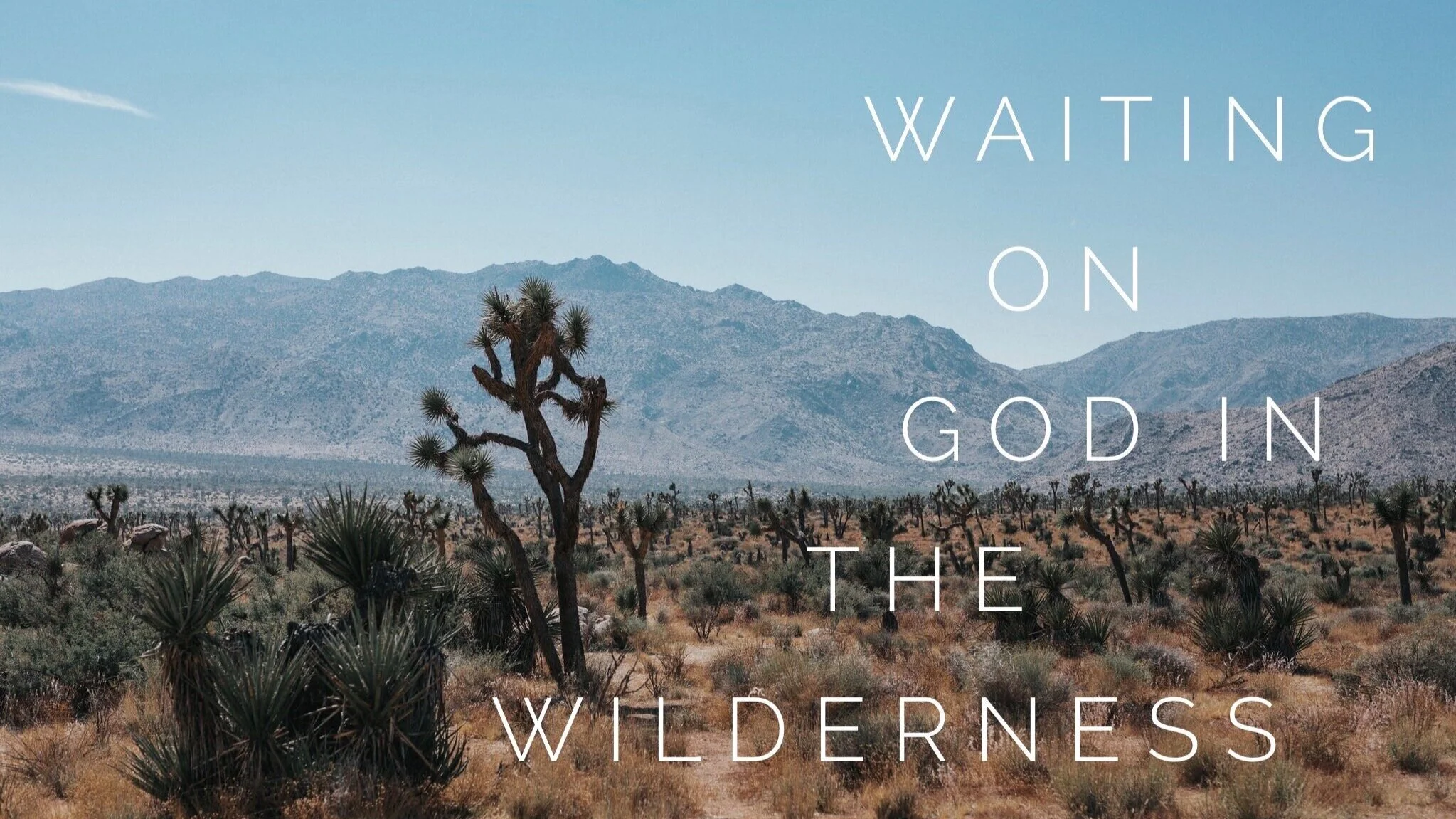 Our Next Sermon Series 