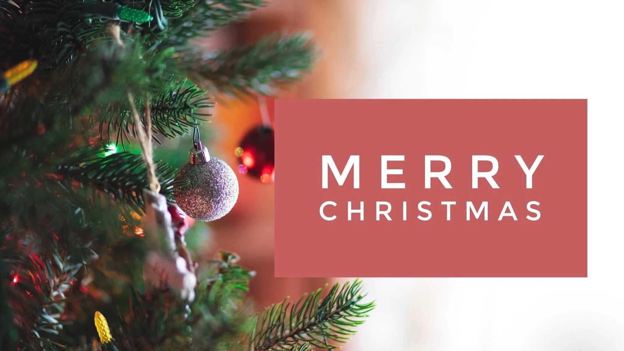 Merry Christmas from SGSA