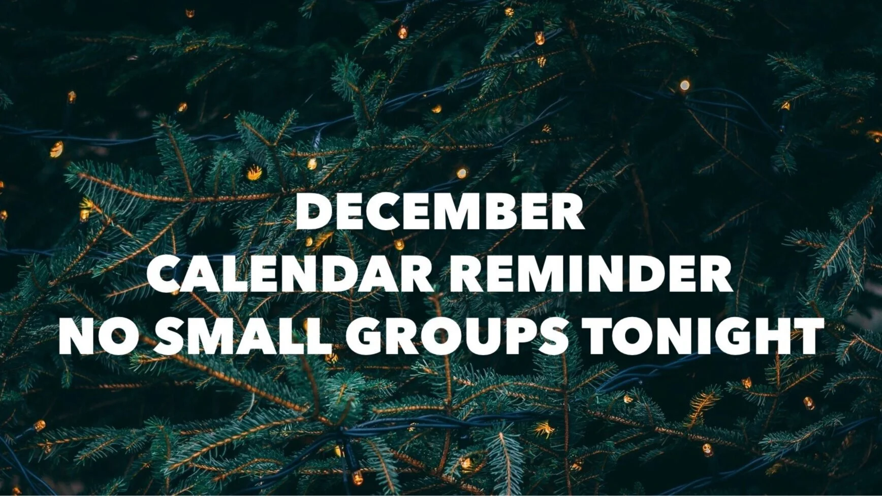 No Small Groups this Friday 