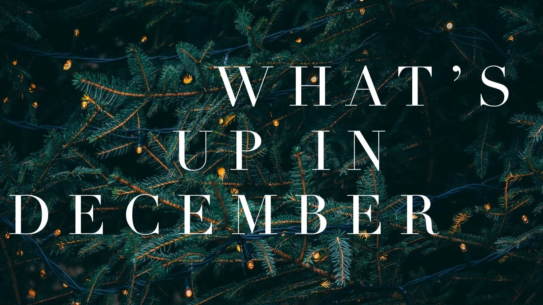 December Calendar - Letting The Schedule Lie Fallow