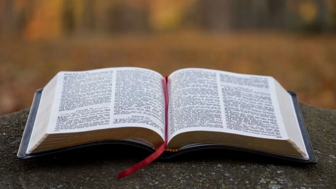 The Discipline of Bible Intake