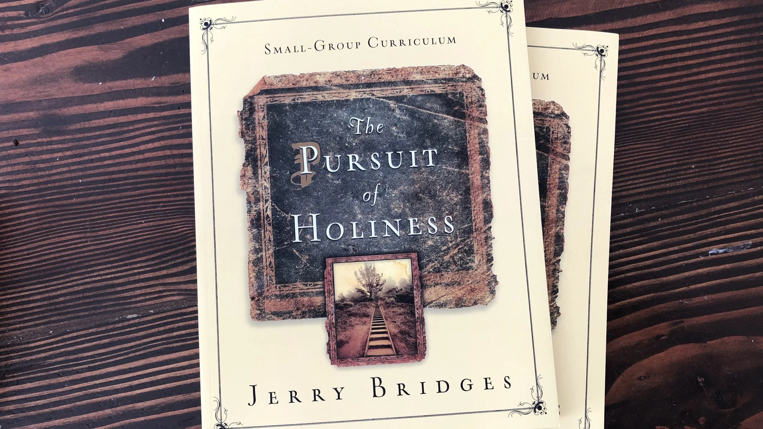 Our Small Groups are Reading a Book this Fall 