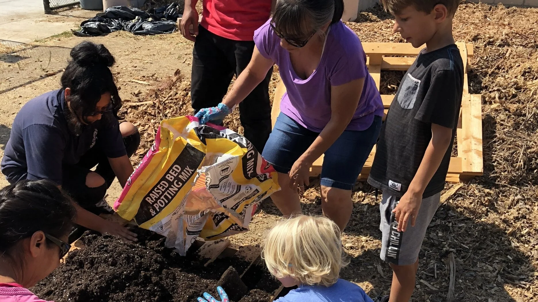 Volunteer At a Community Garden