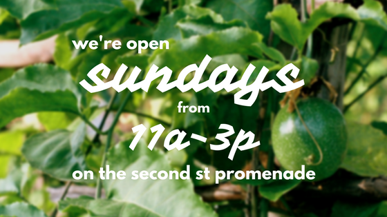 DTSA Farmer's Market Every Sunday