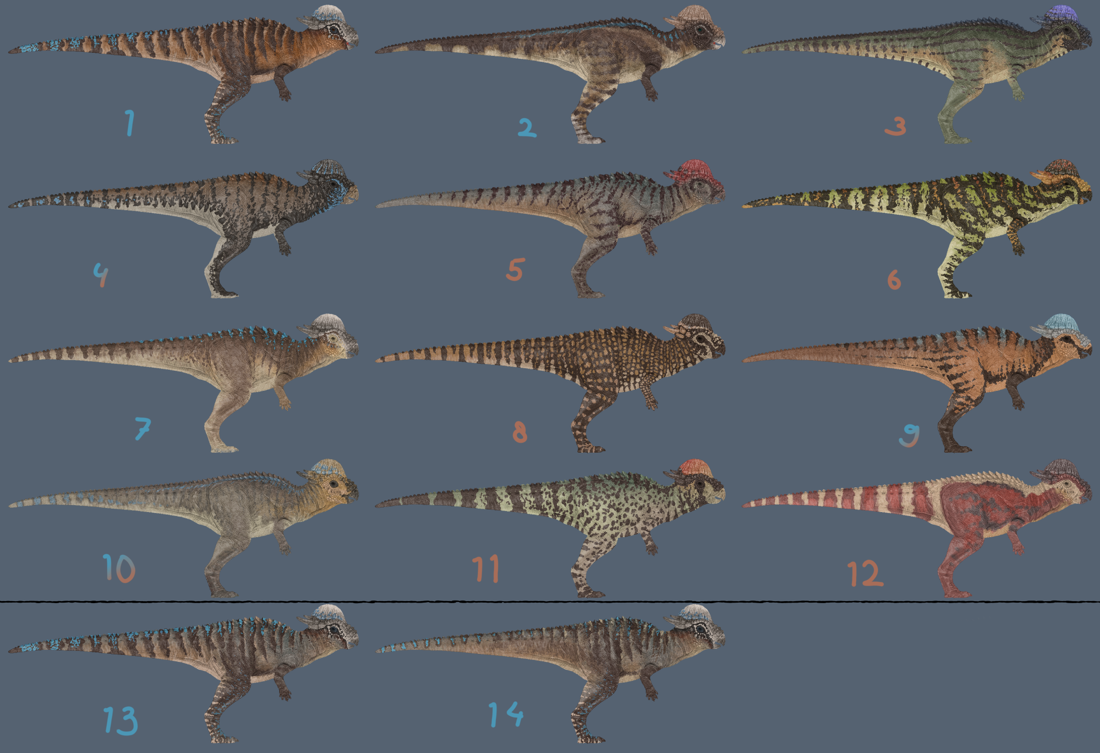 Concept art for various potential Pachy skins