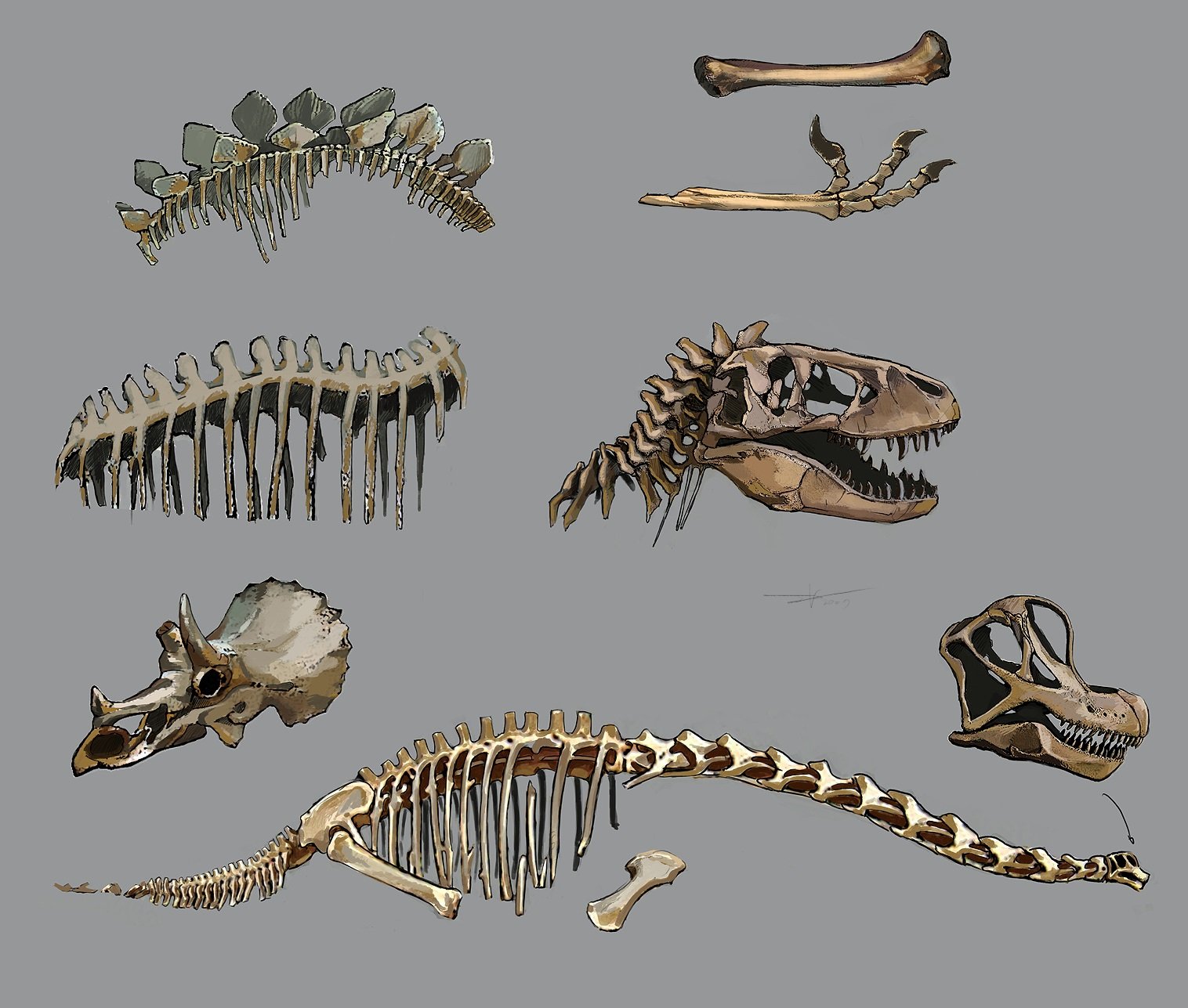 Ideation for dinosaur skeletal remains found in the world.