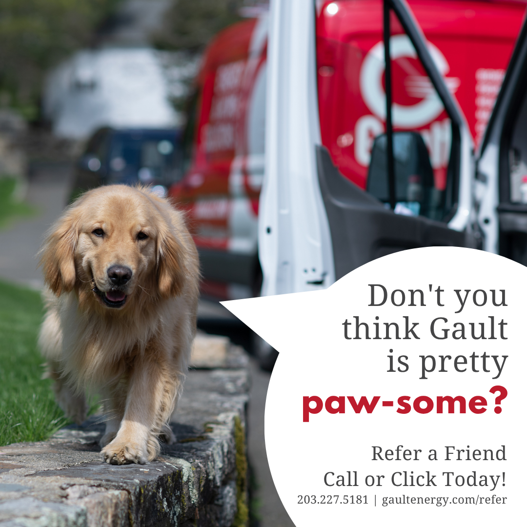 Dog Gault Referral