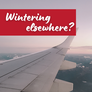 Are You Traveling South For Winter?