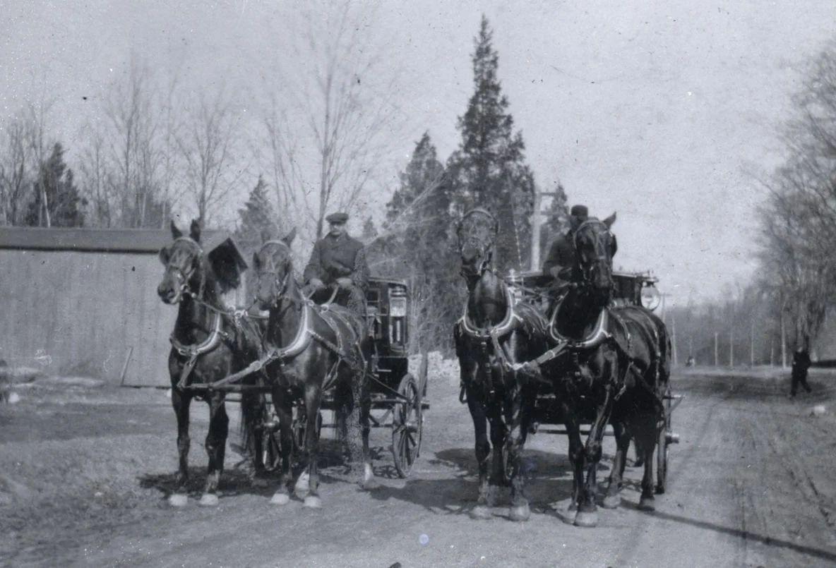 Evolving Over 160 Years