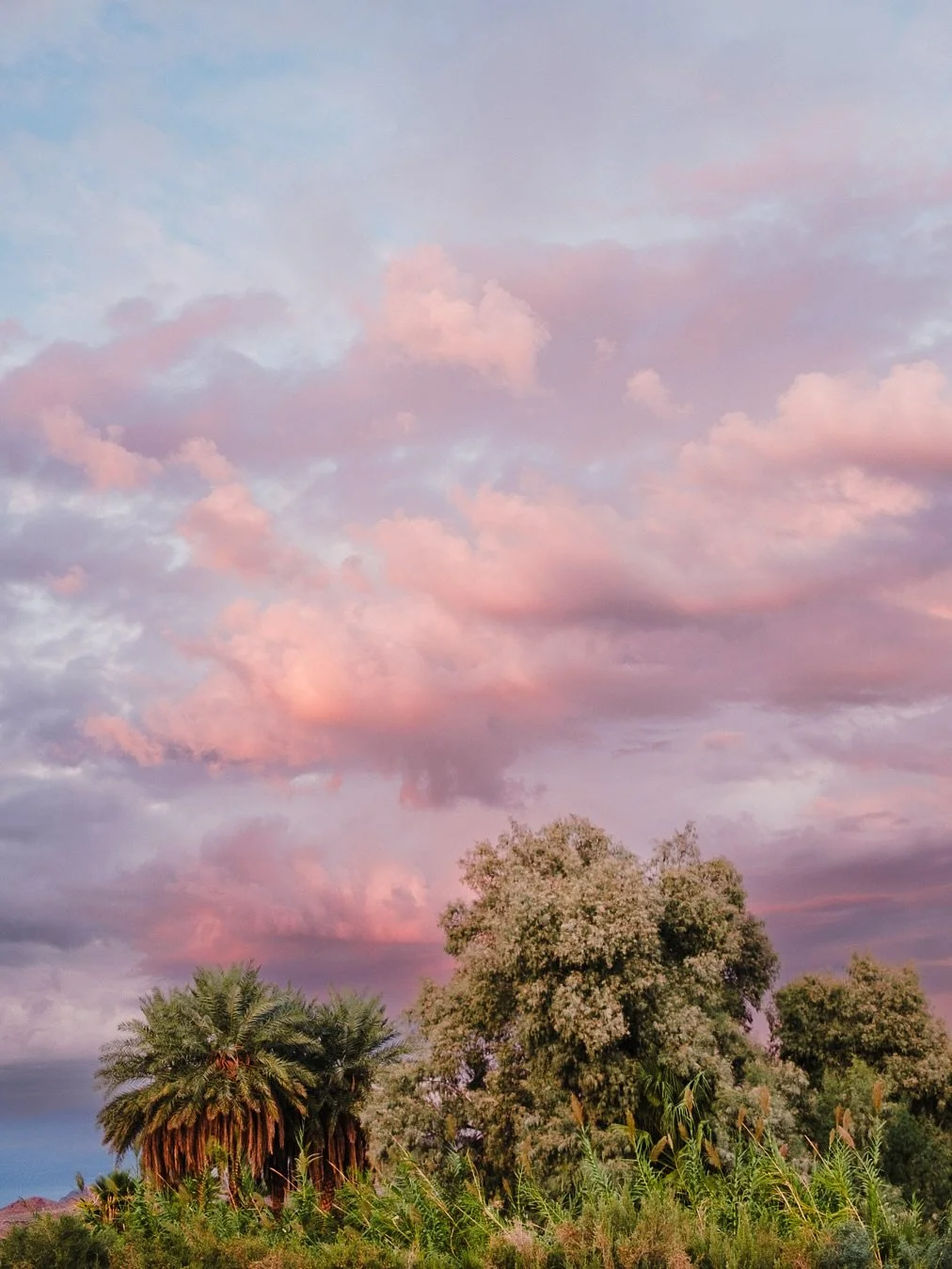 The desert sky in September gave the best show. 
#natures_moods 
#natures_lights 
#fujilove 
#x100vi