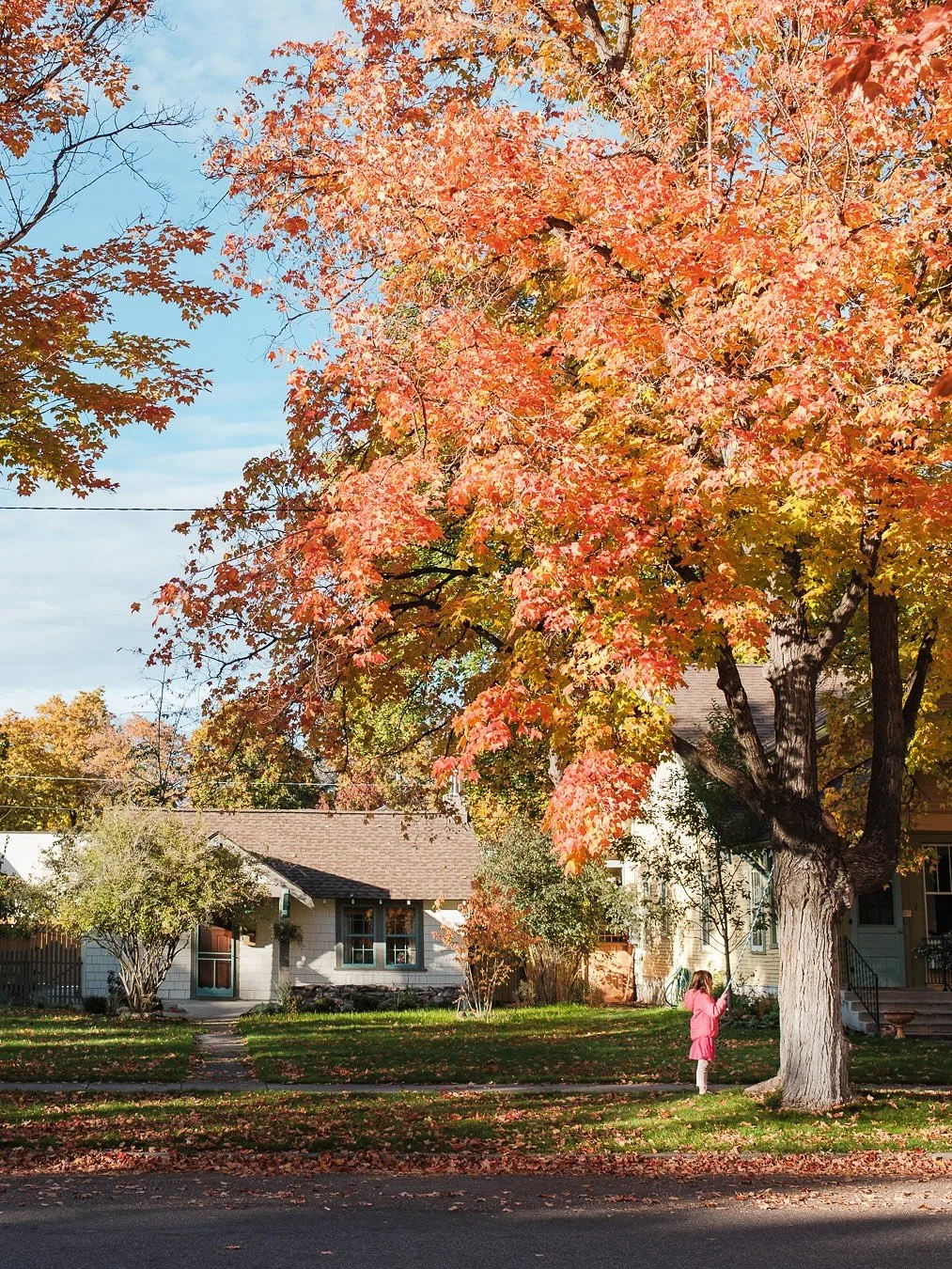 The day the sun came out a bit in downtown Missoula. #fujilove #fujifilmx100vi