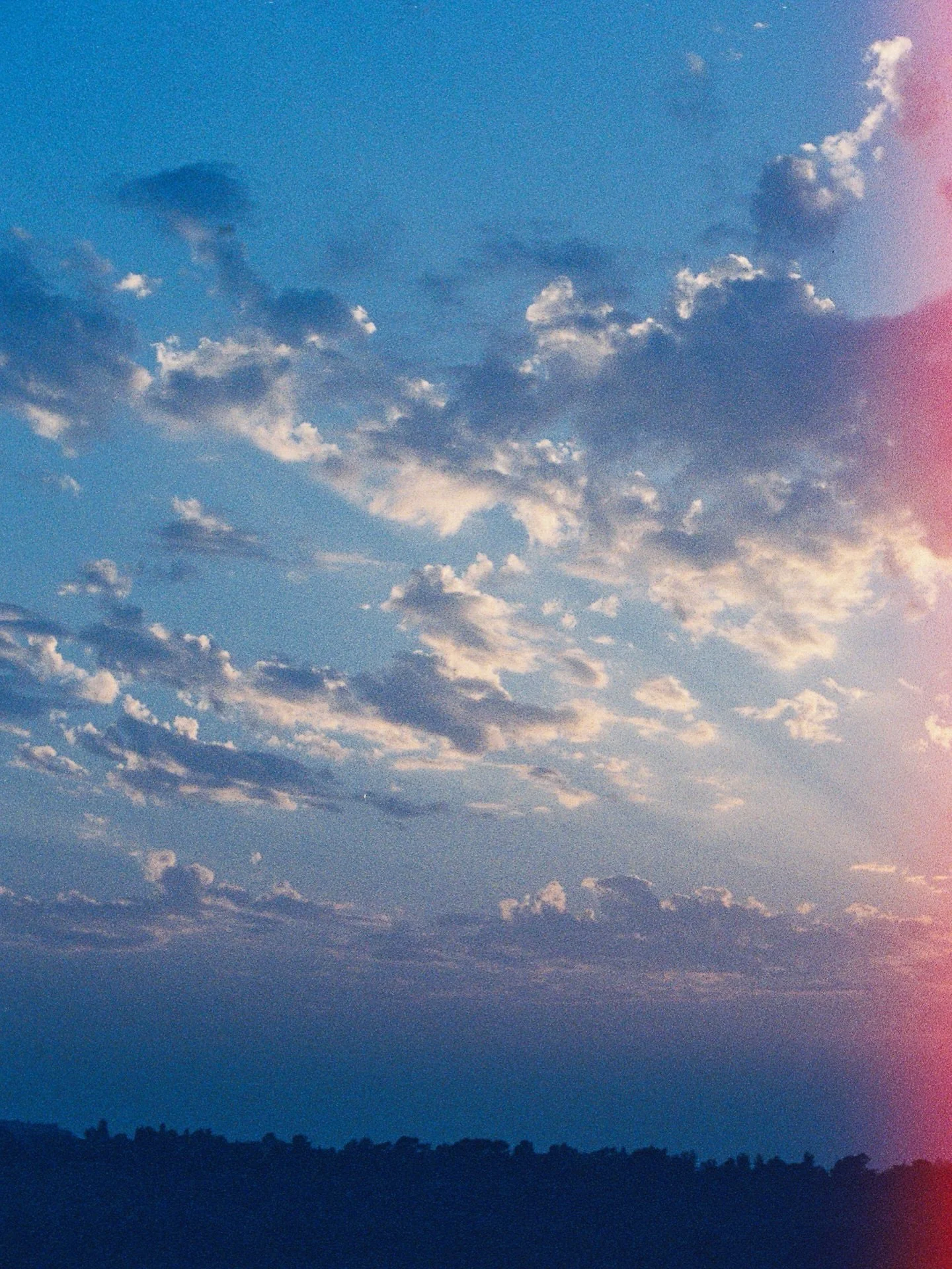 Goal: develop a roll of film every month this year. These were taken over time, but finished in January. February will be harder; I will actually need to take an entire roll this month. Hope to improve from here. I made quite a few mistakes&mdash;it&