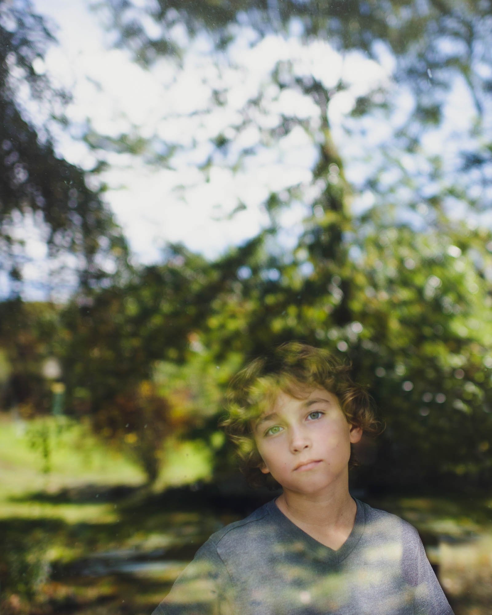 Orange County Child and Family Photography. A young boy with curly hair is looking through a window. The reflection of outdoor greenery, including trees and foliage, is visible on the glass.