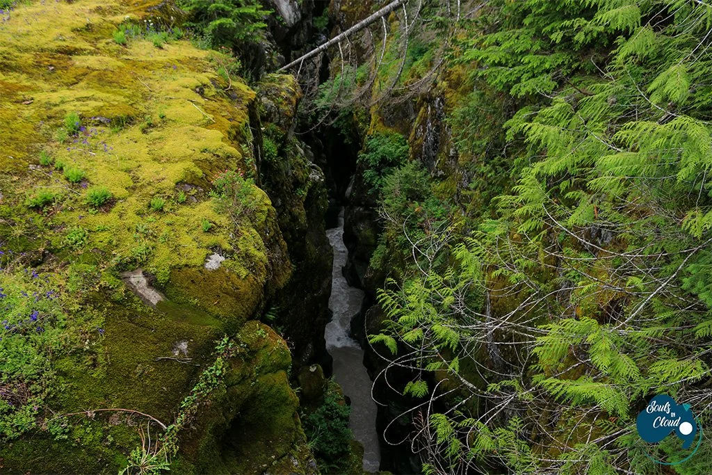 Overlook of Box Canyon