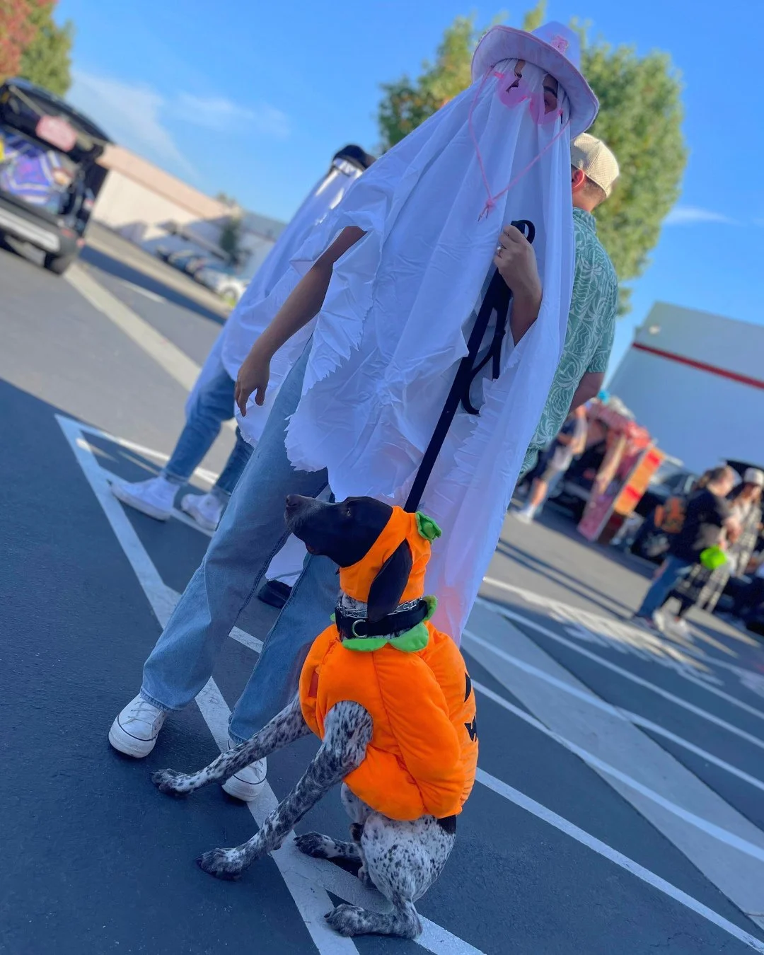 👻 Only 1 week until Boo Bash 2025! 👻⁠
⁠
Bring your friends and family for a spooky celebration for all ages. Pumpkin decorating, costumes, raffles, and surprises around every corner. Plus, get the first look at our Recital 2026 theme! Don&rsquo;t m