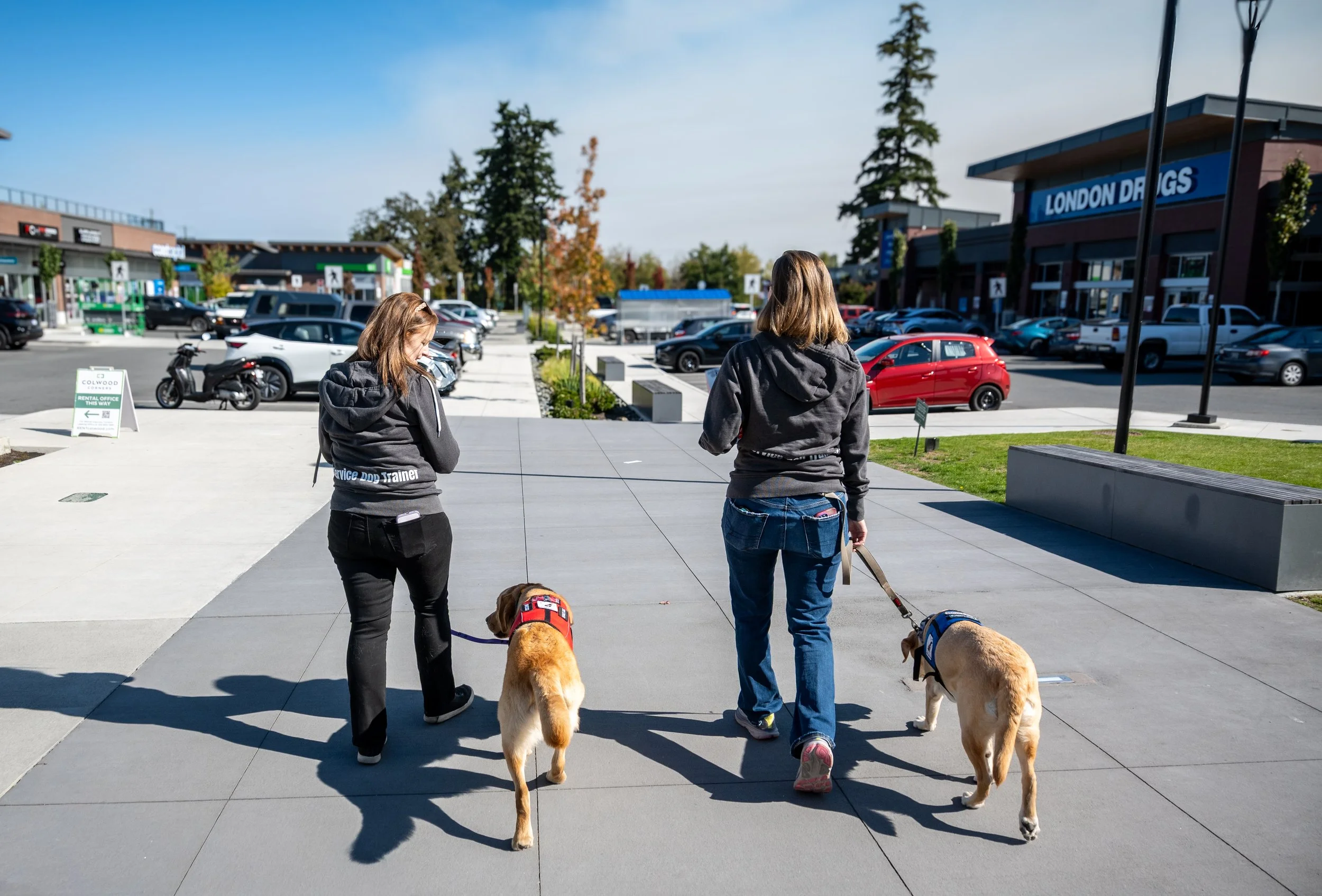 The Hidden Magic of Having a Service Dog