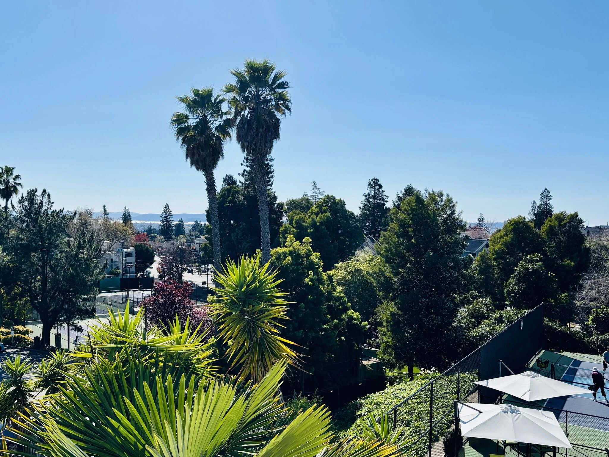 The Best (and Worst) Times to Job Search