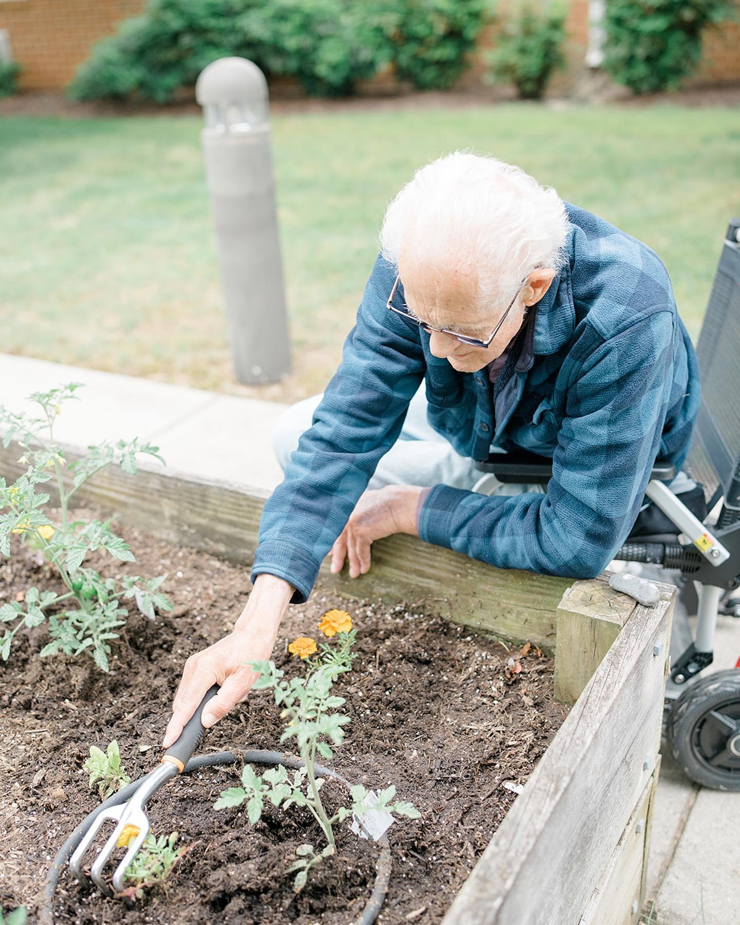 🌸 Got that Spring itch? Us too! 🌸

At Dunlop House, we have a raised bed vegetable and flower garden that our residents love to tend and we&rsquo;re on the lookout for passionate volunteers to help us launch our Spring garden this season.

If you h