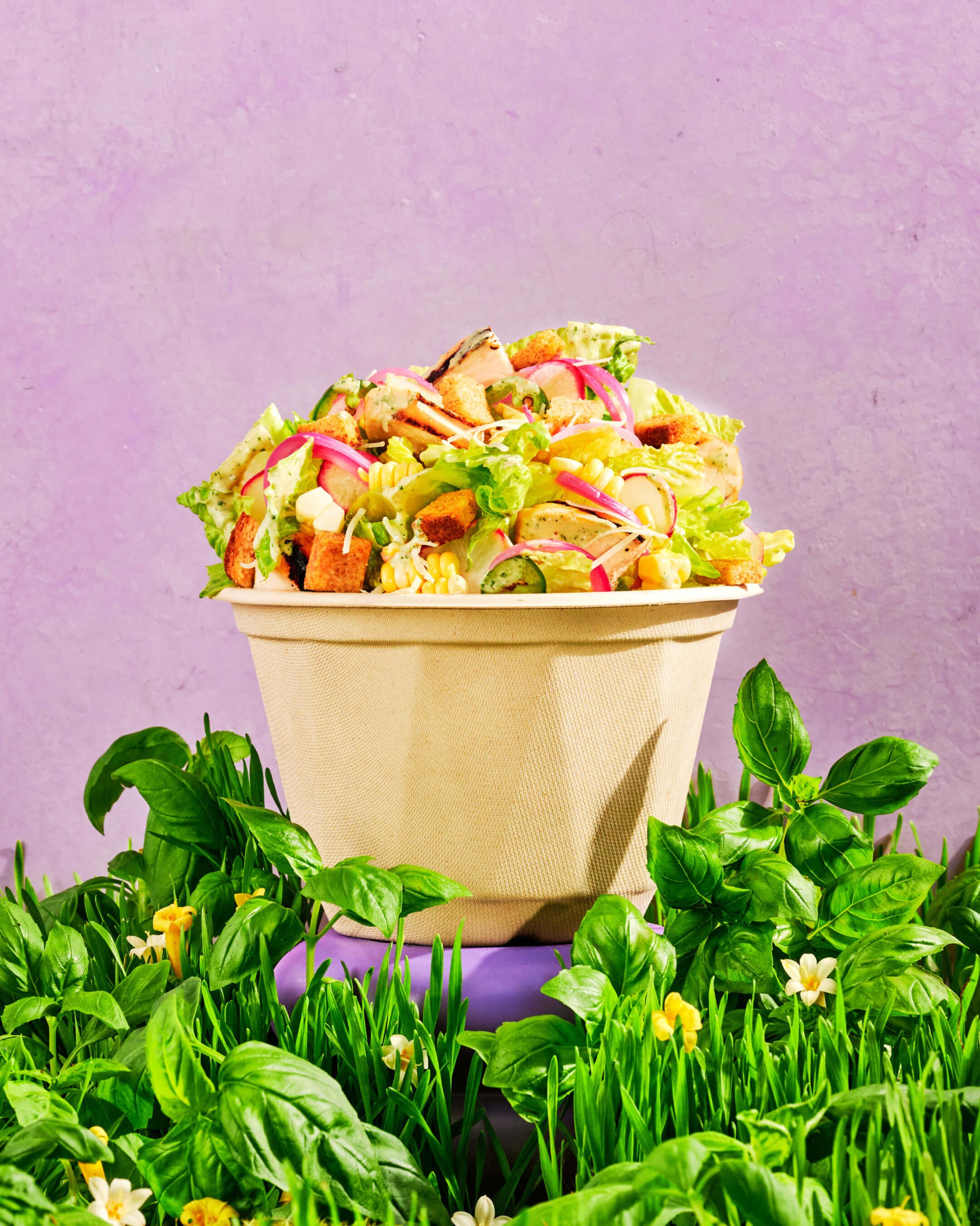 Chopt Summer 2025 Salad Prop Shot