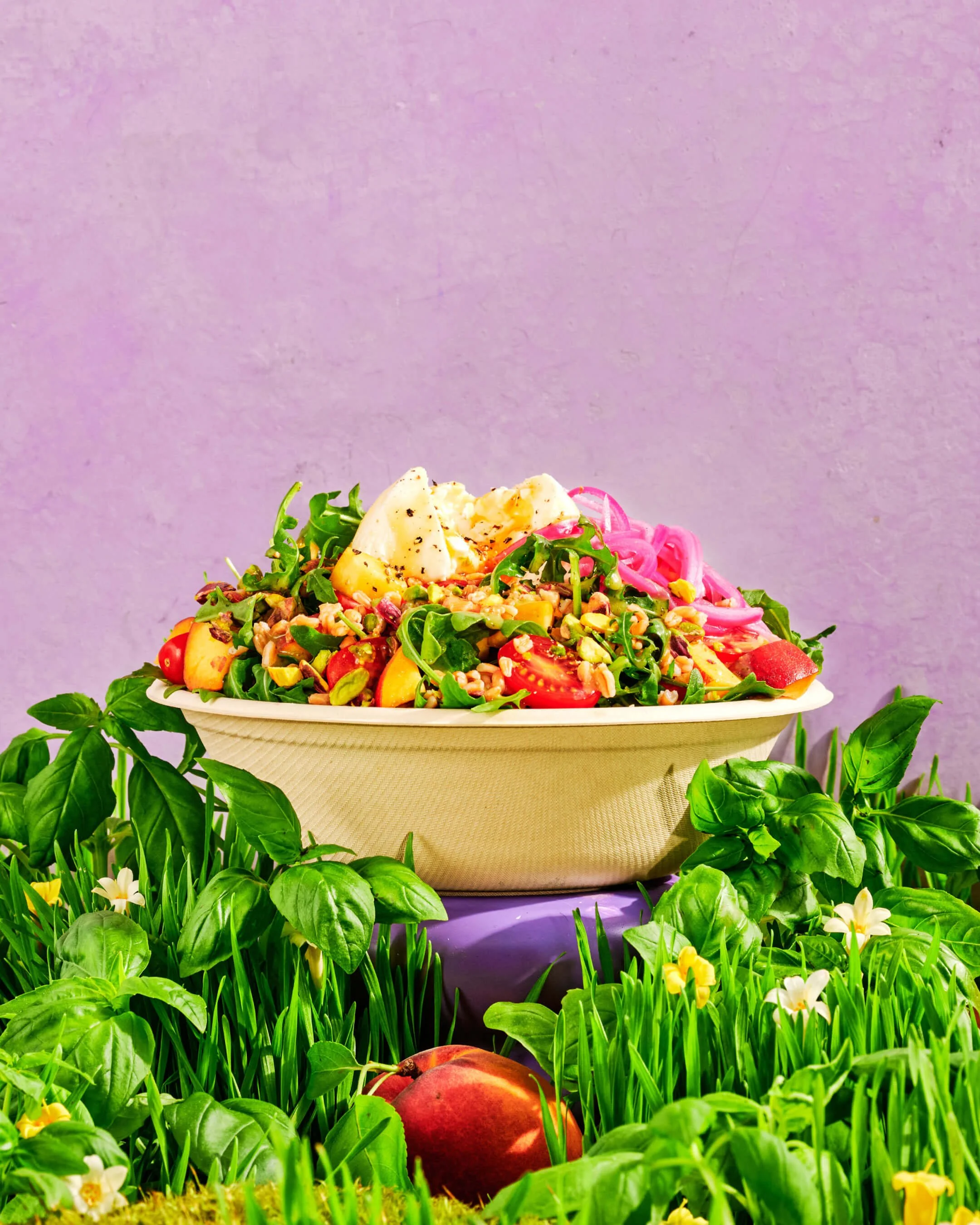Chopt Summer 2025 Bowl Prop Shot