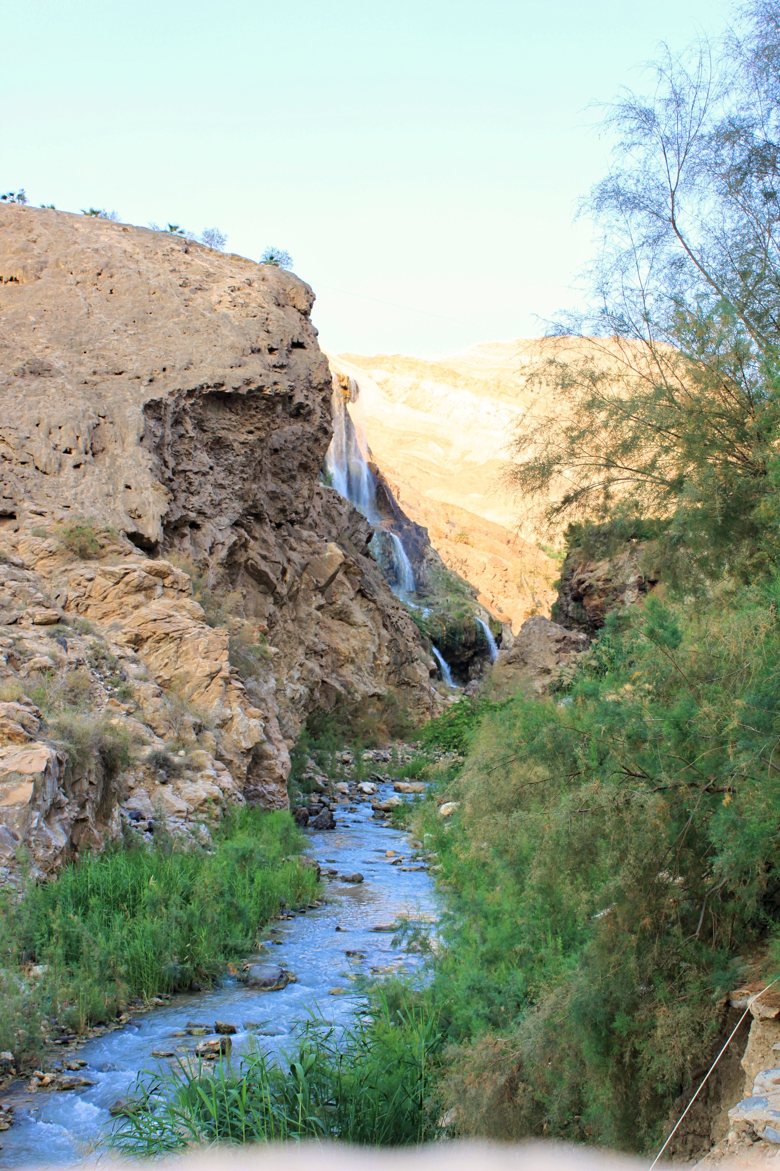 A brook at the Ma’in Hot Springs Resort &amp; Spa in Jordan
