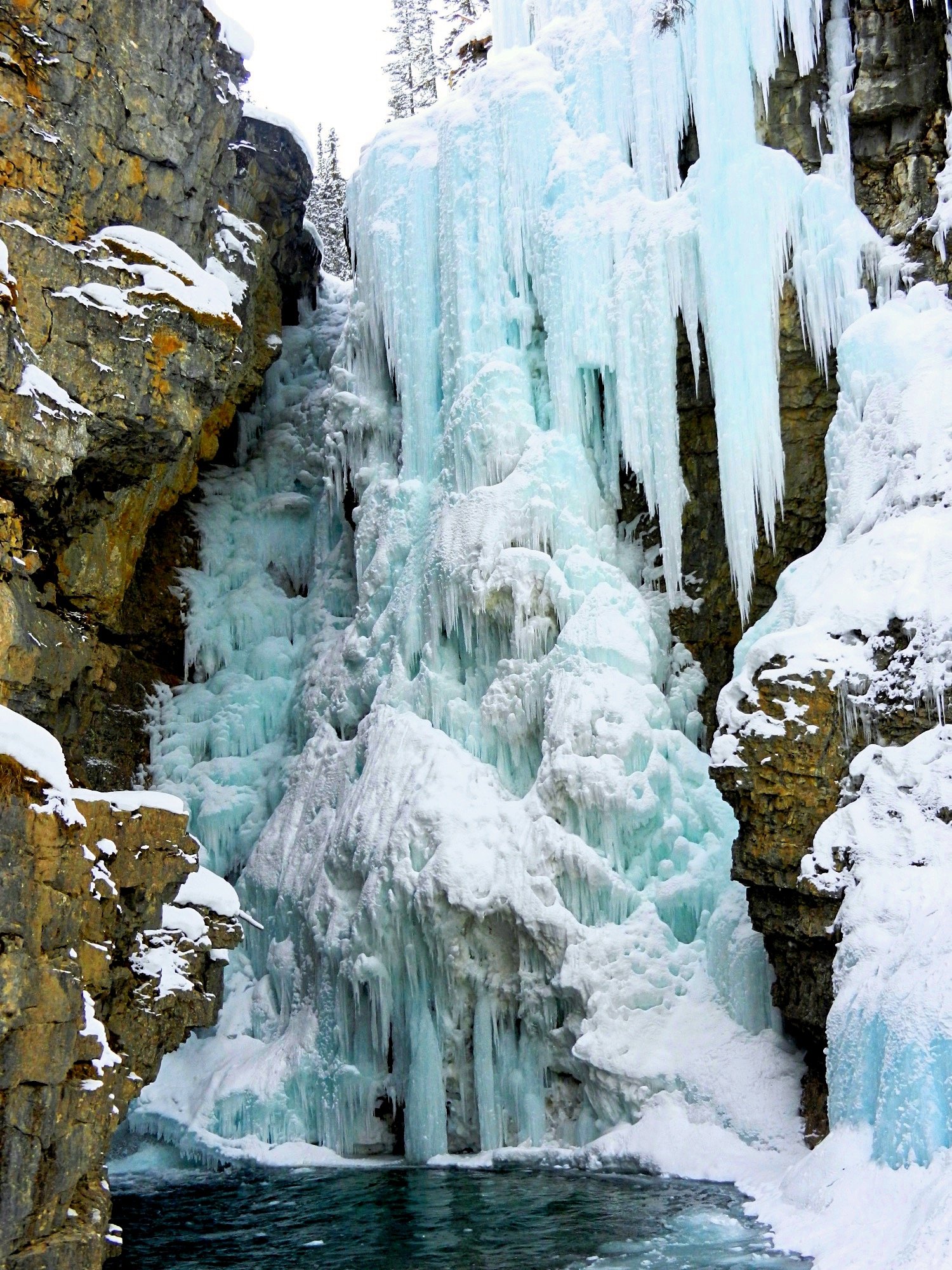 Frozen waterfall in Johnston Canyon, Alberta.jpg