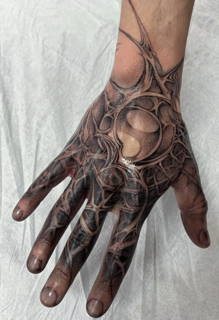 Screenshot 2026-03-23 at 12.13.12 PM.png