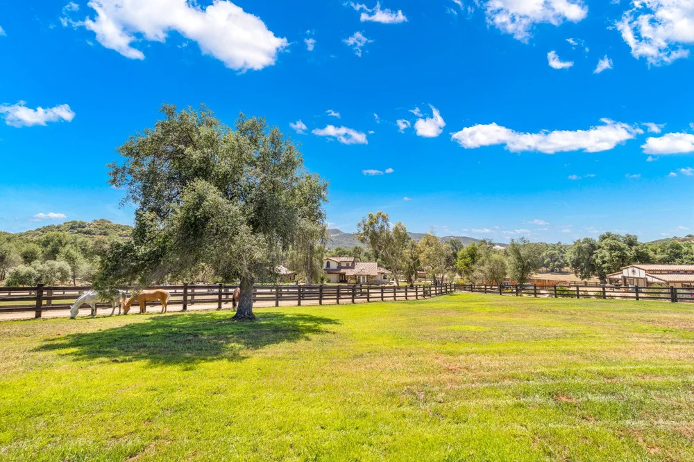 General 3 — Lazy Oaks Ranch