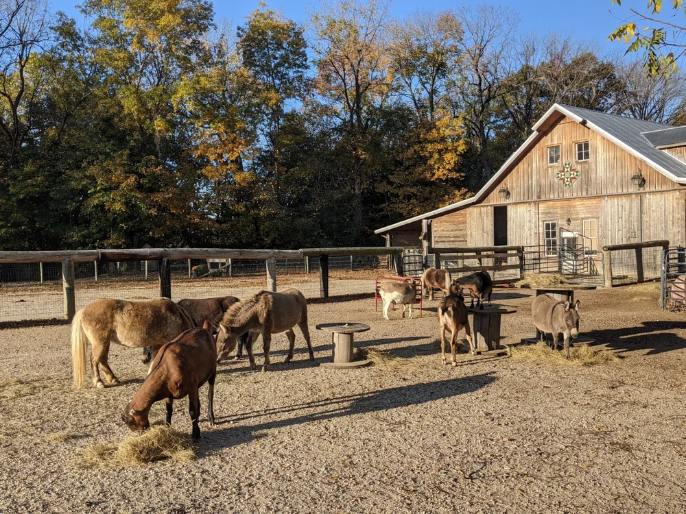 WoodHaven Rescue Farm