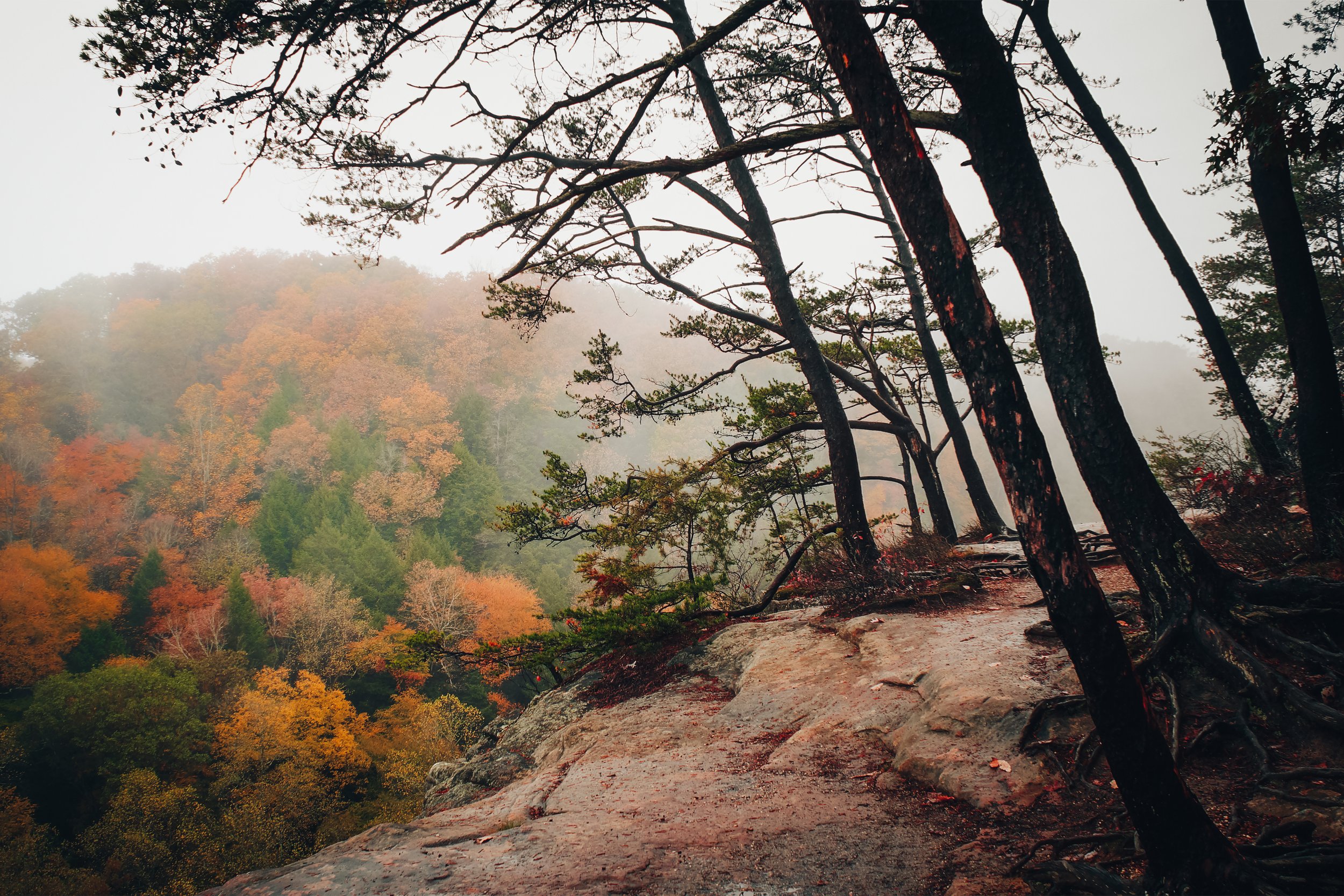 Conkle,-In-Autumn_8x12.jpg