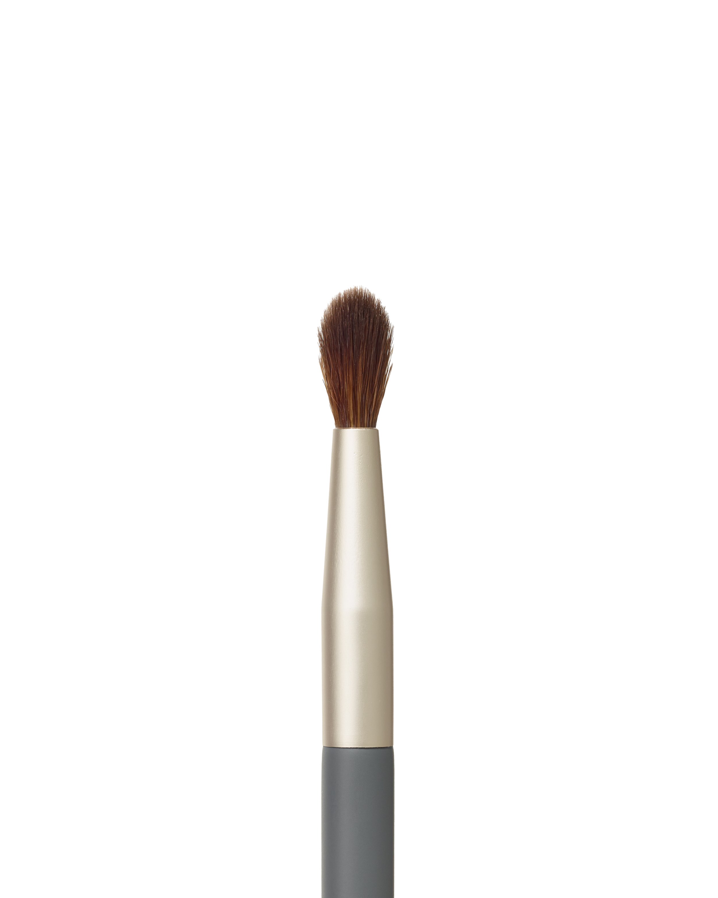 IC_Brush_DETAIL_BRUSH_CLOSEUP_P14_208801.jpg