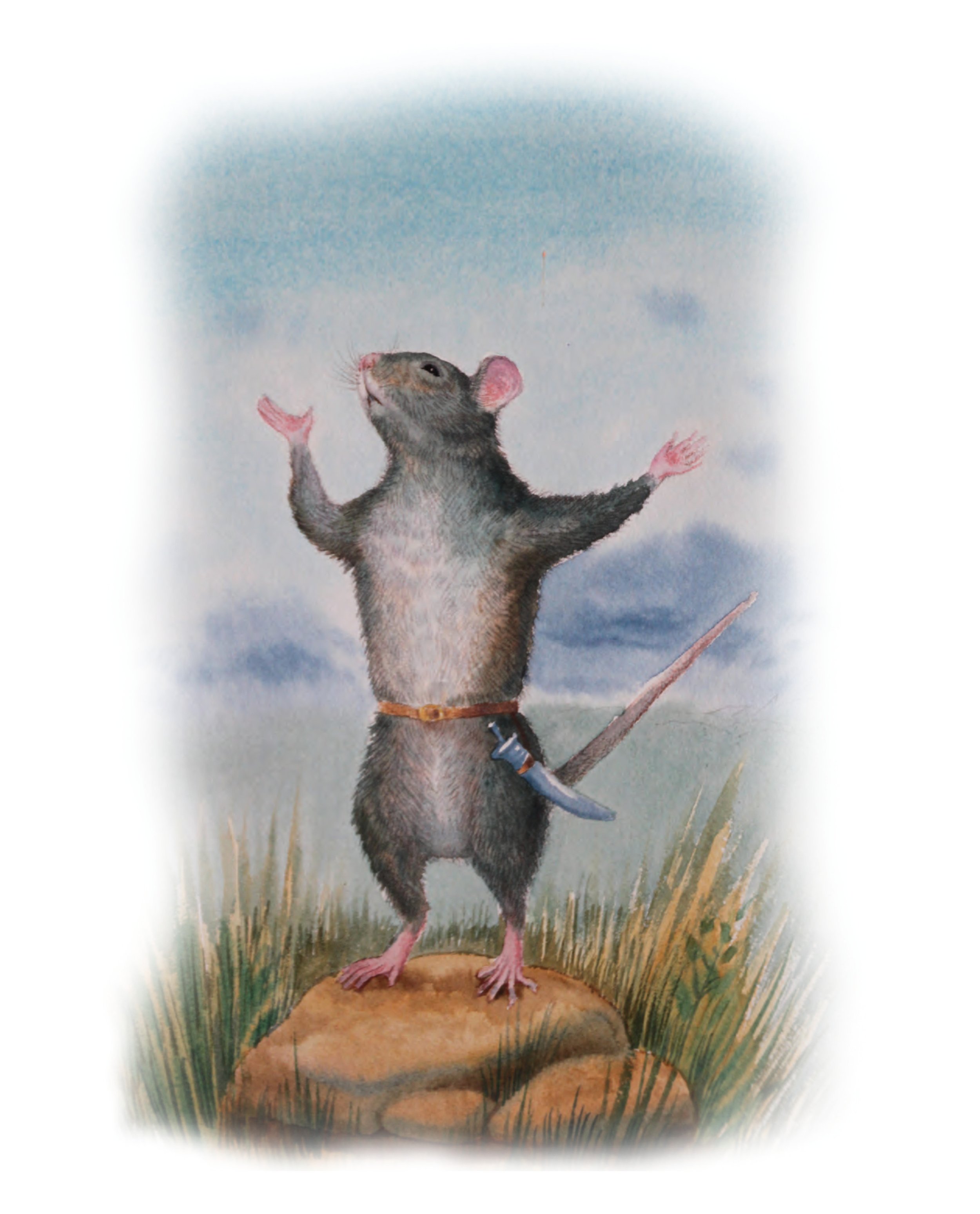 HoQ page 12 image.jpg