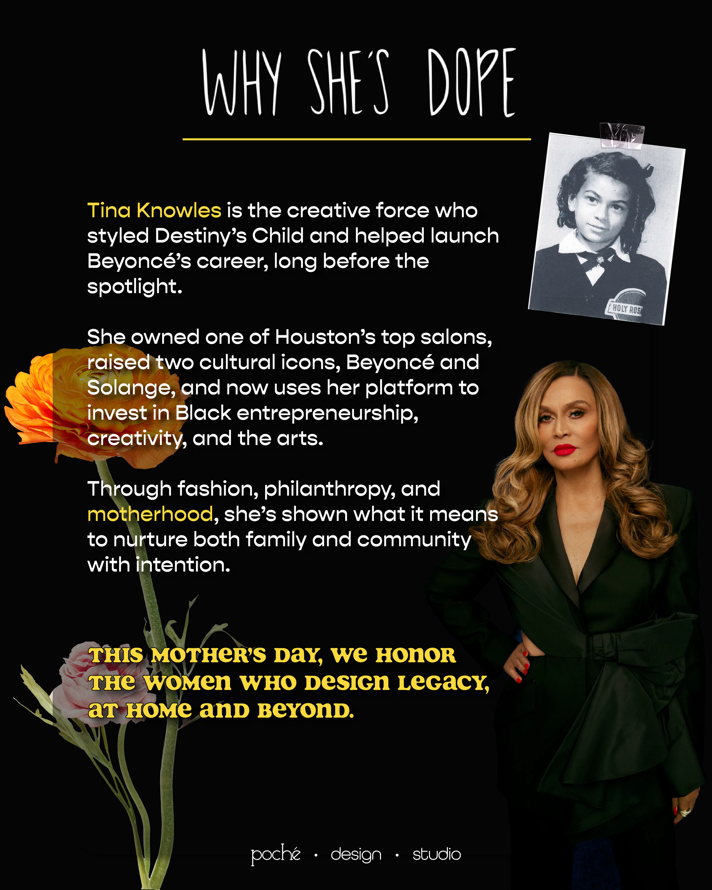 dws_tinaknowles-04.png