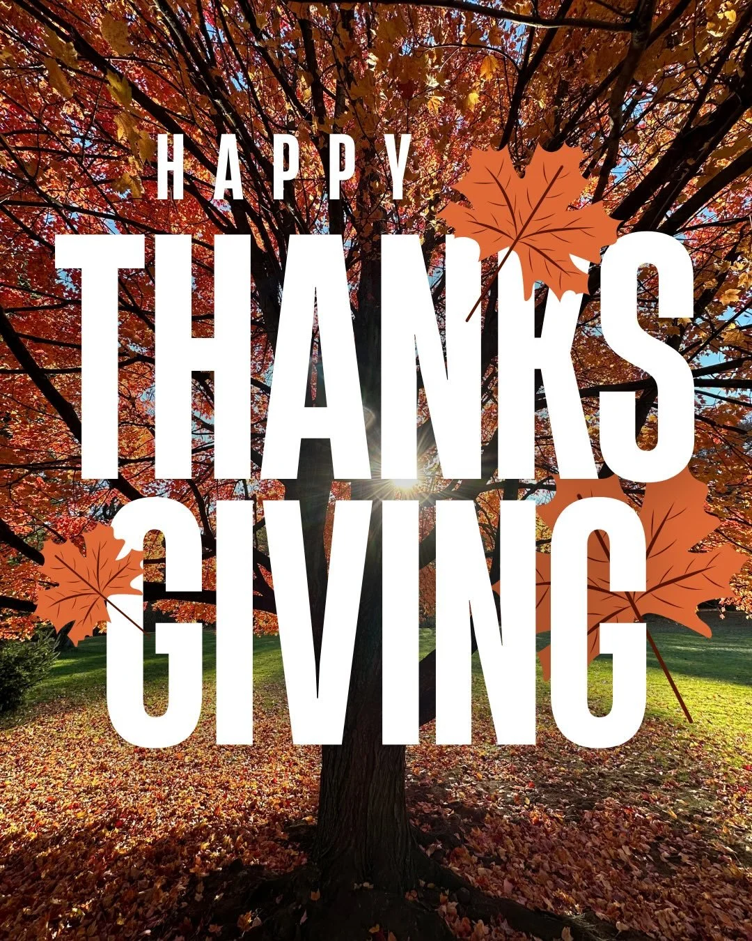 🧡🍁 𝙷𝙰𝙿𝙿𝚈 𝚃𝙷𝙰𝙽𝙺𝚂𝙶𝙸𝚅𝙸𝙽𝙶 🍁🧡

Wishing you and your loved ones a warm, joyful, and delicious Thanksgiving ✨