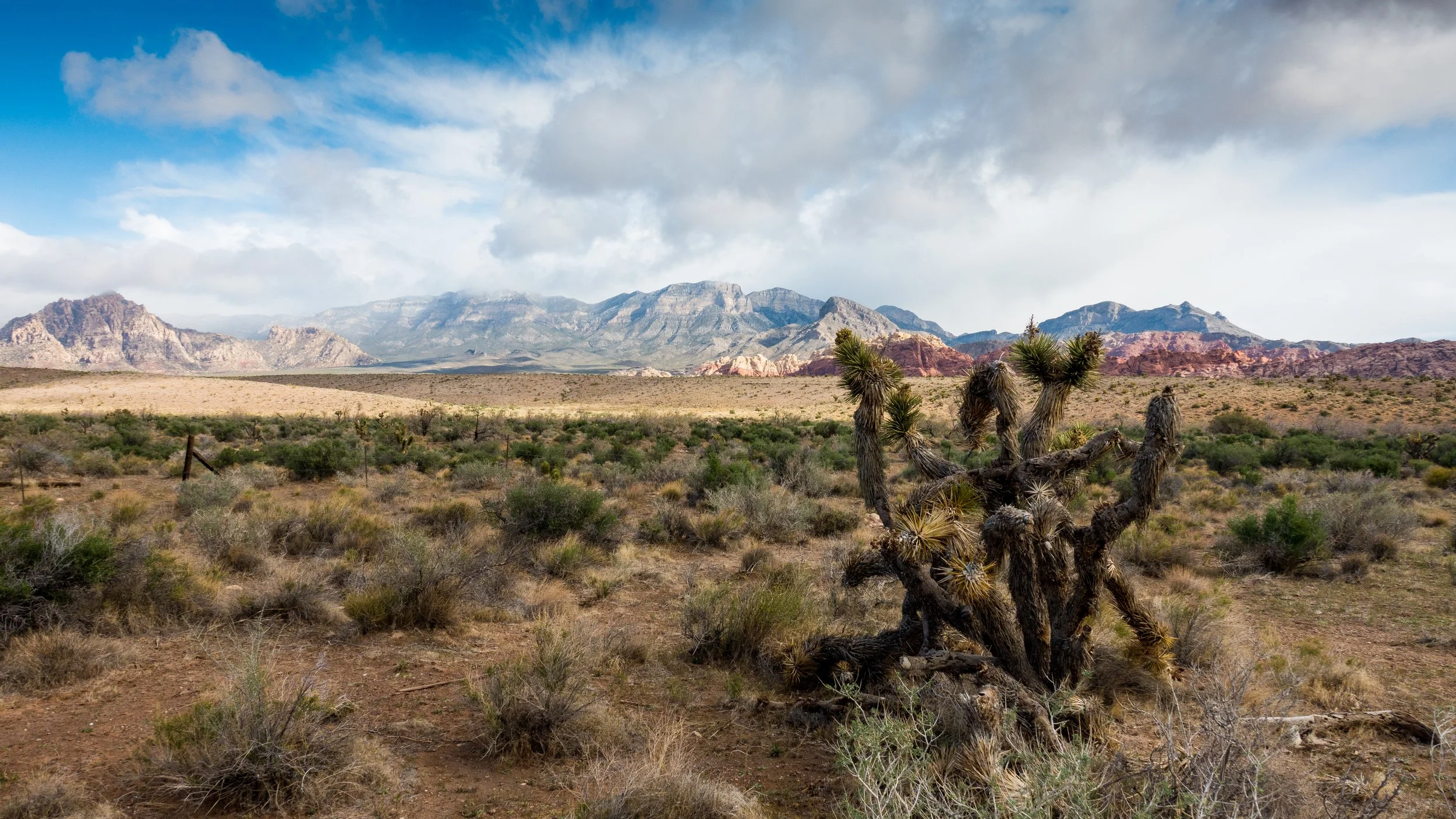 Hurricane Vegas —