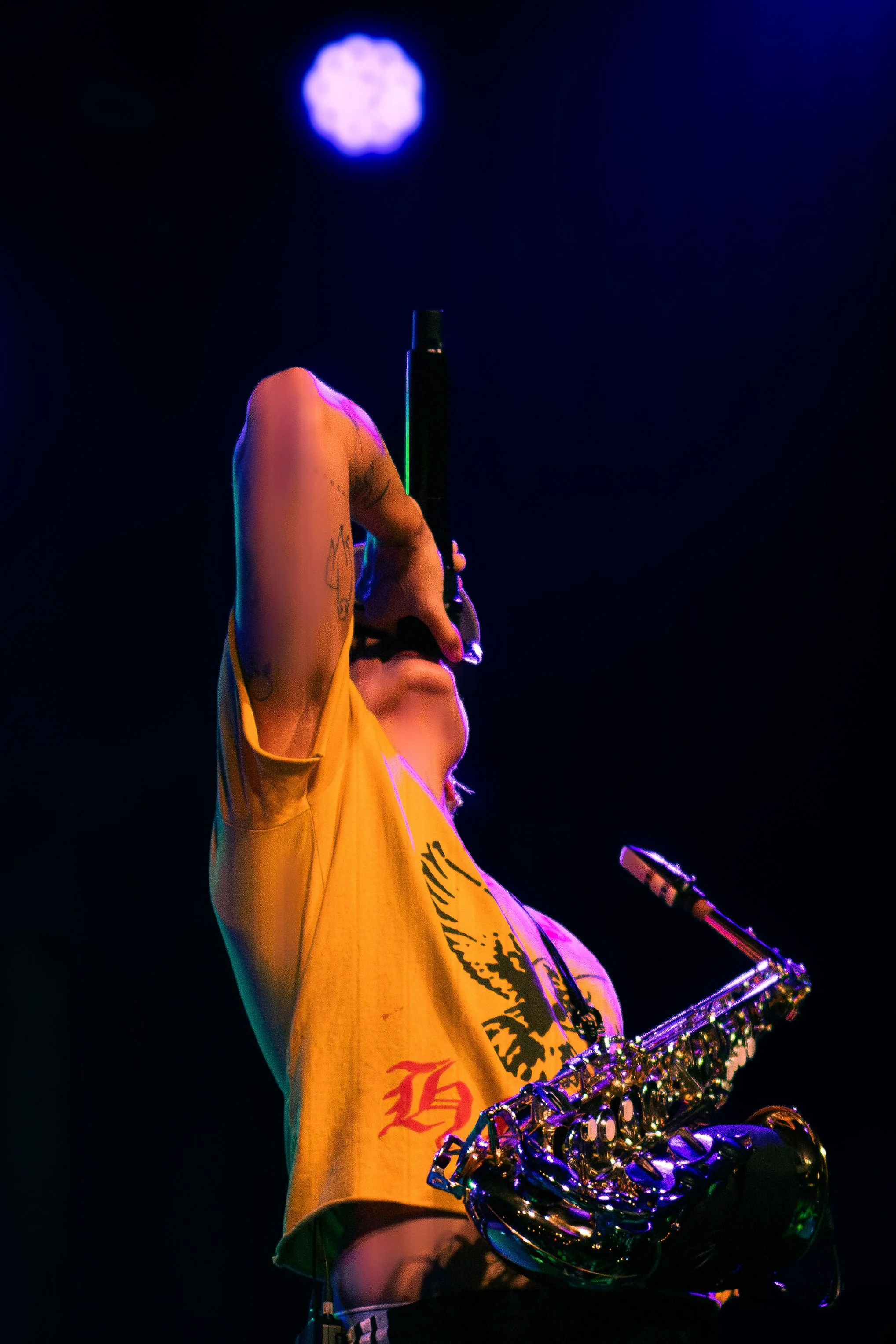 IMG_6456.jpg