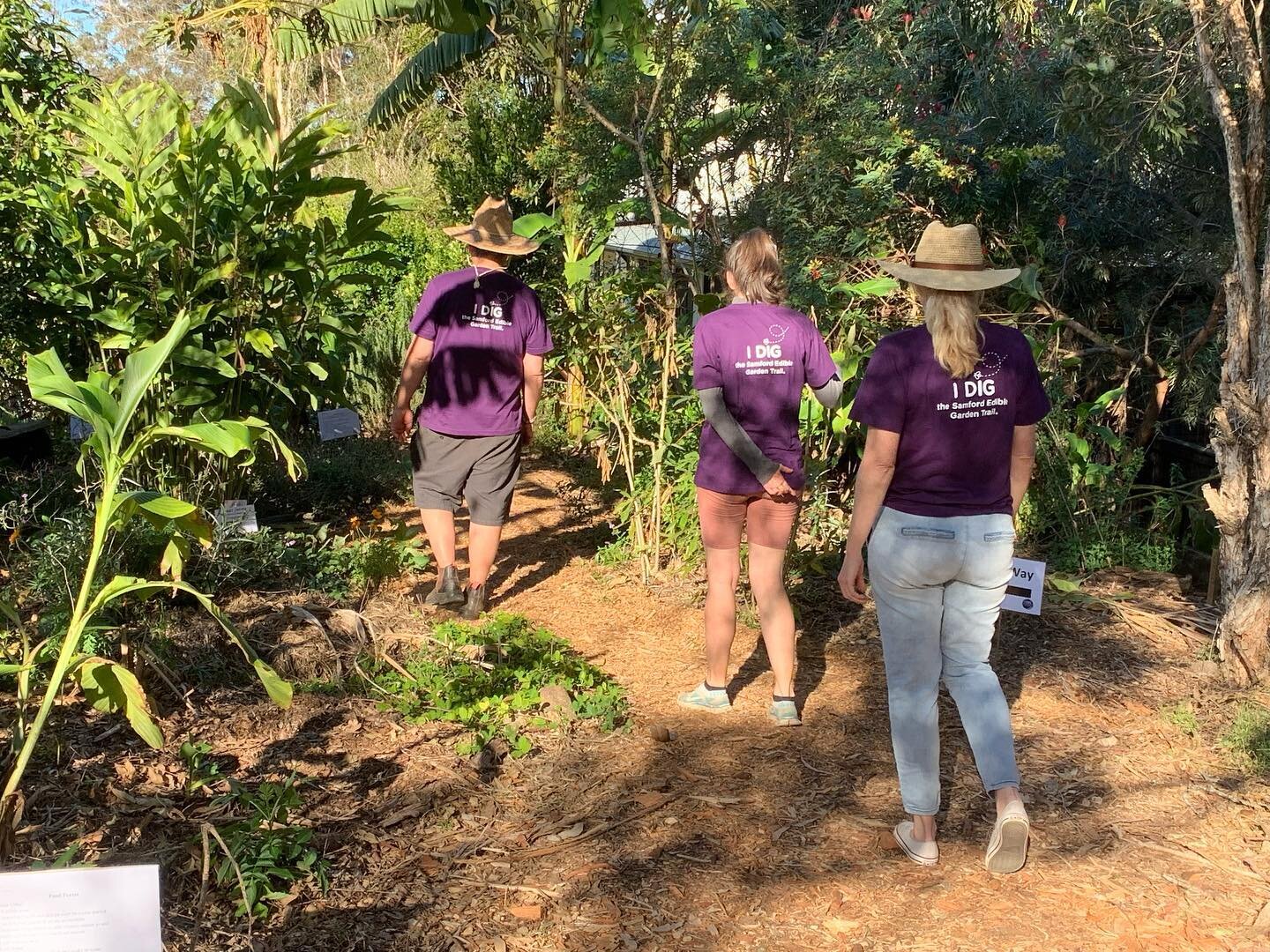 Thank you to my amazing volunteers today. I could not have opened the garden without you. Thank you Melissa, Glenn, Max and Lauren for greeting our visitors and answering question. Thank you Mum for having food ready and keeping the dogs happy and Ju